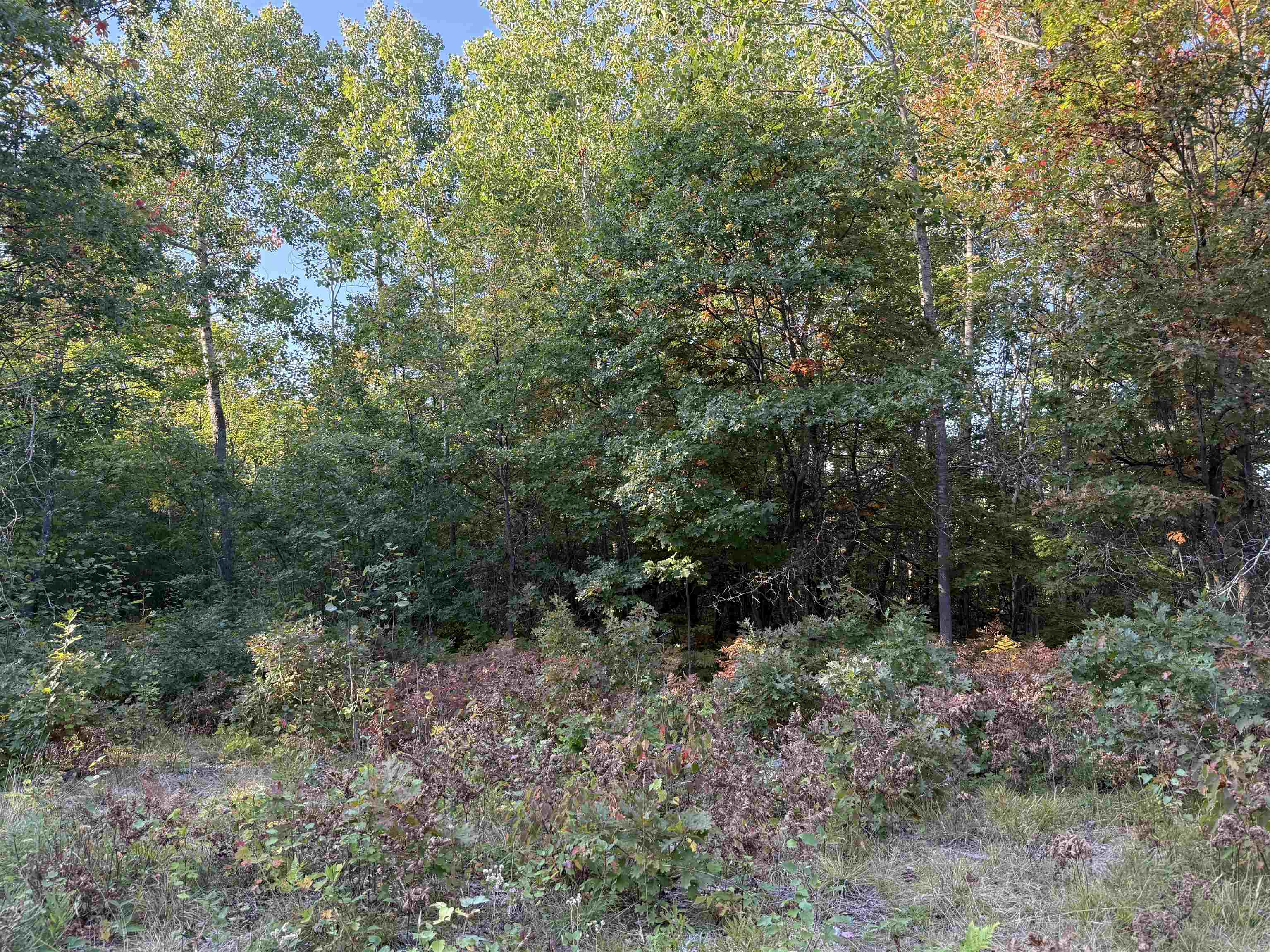 000 US Highway 2 Iron River WI 54847 6122055 image4