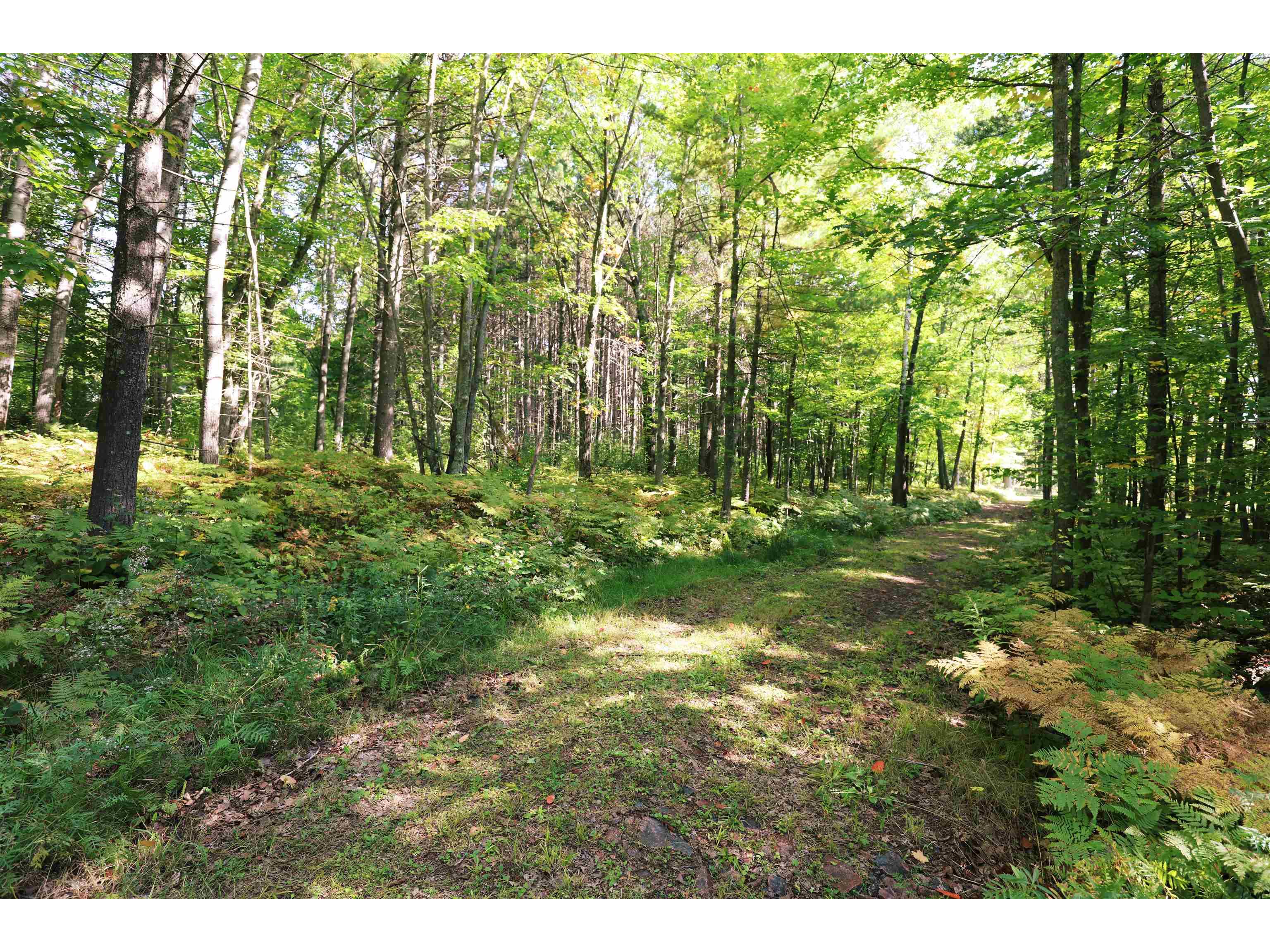 000 W 10th Ave Washburn WI 54891 6122003 image18