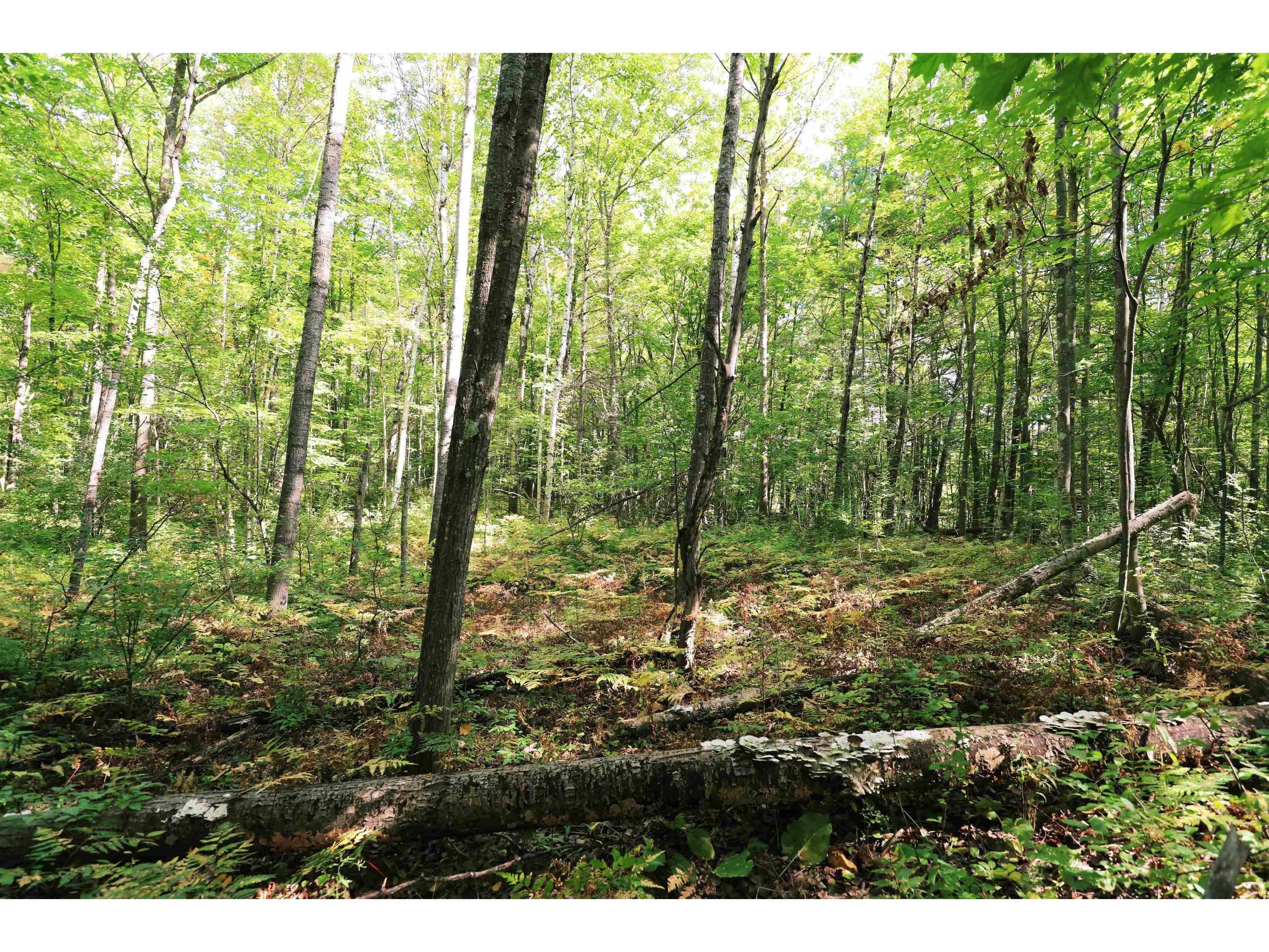 000 W 10th Ave Washburn WI 54891 6122003 image19