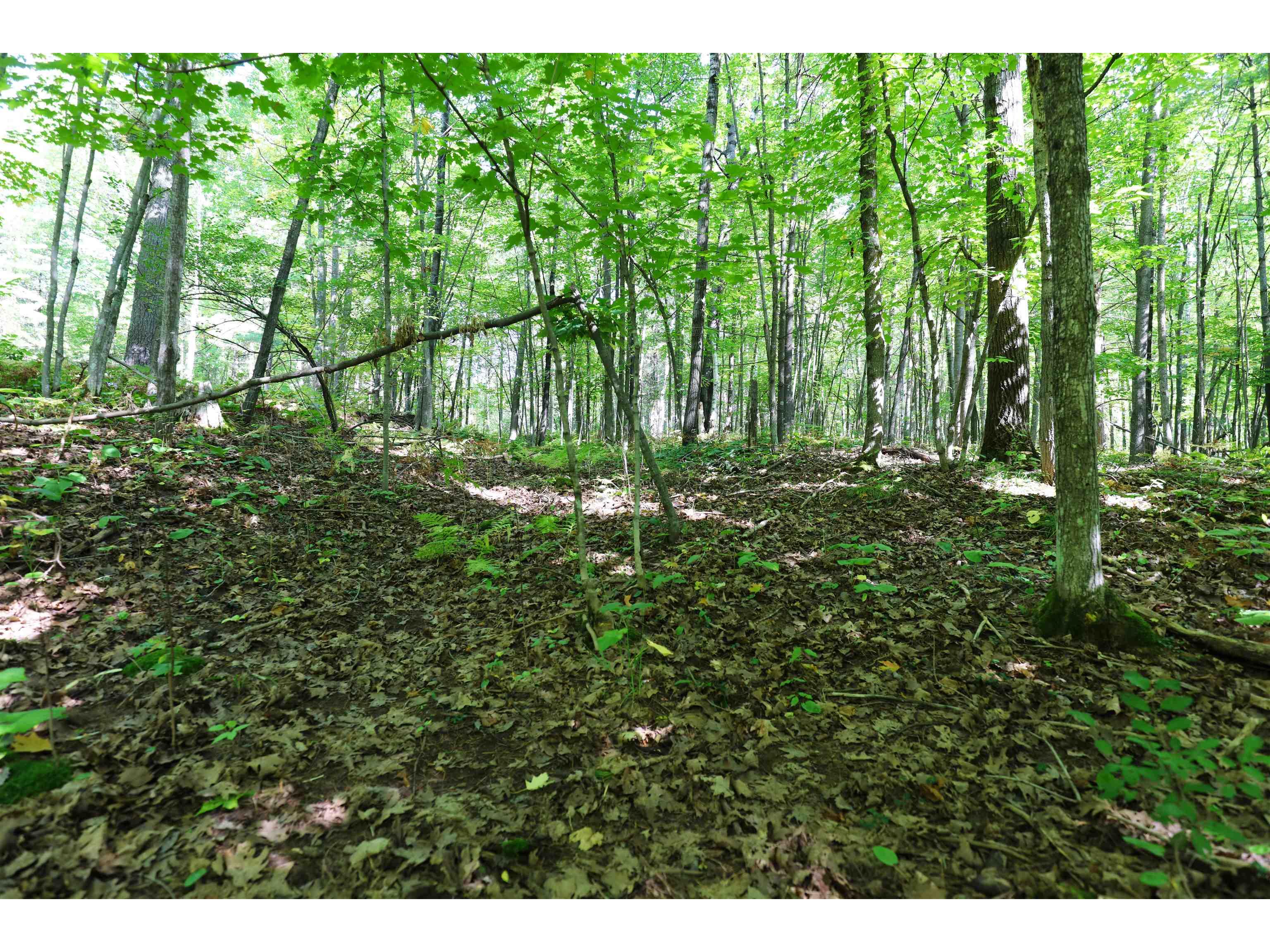 000 W 10th Ave Washburn WI 54891 6122003 image20