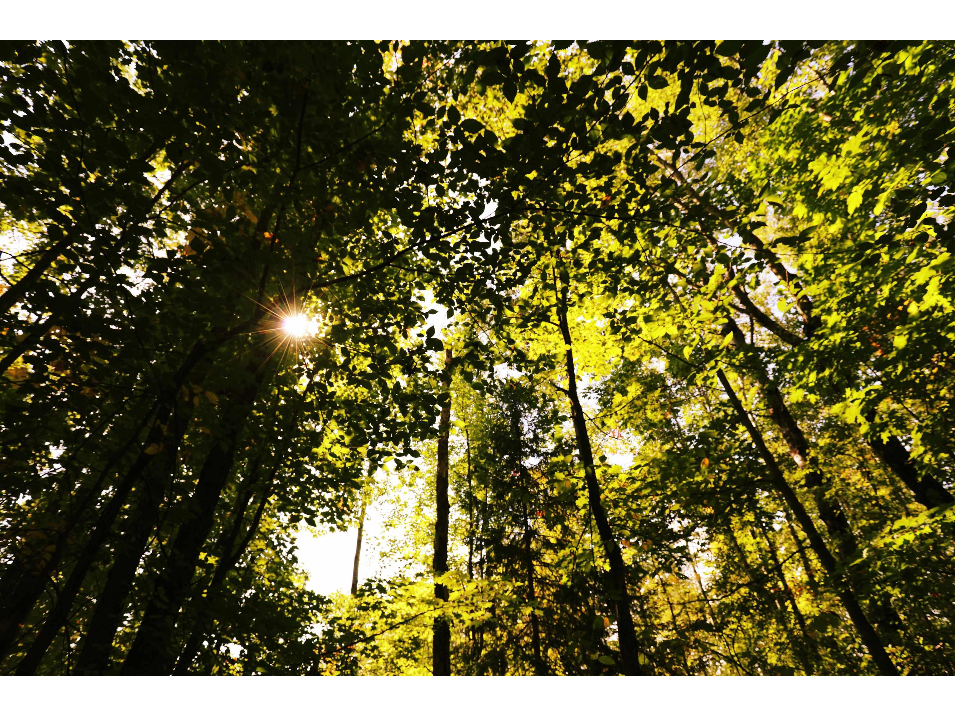 000 W 10th Ave Washburn WI 54891 6122003 image21