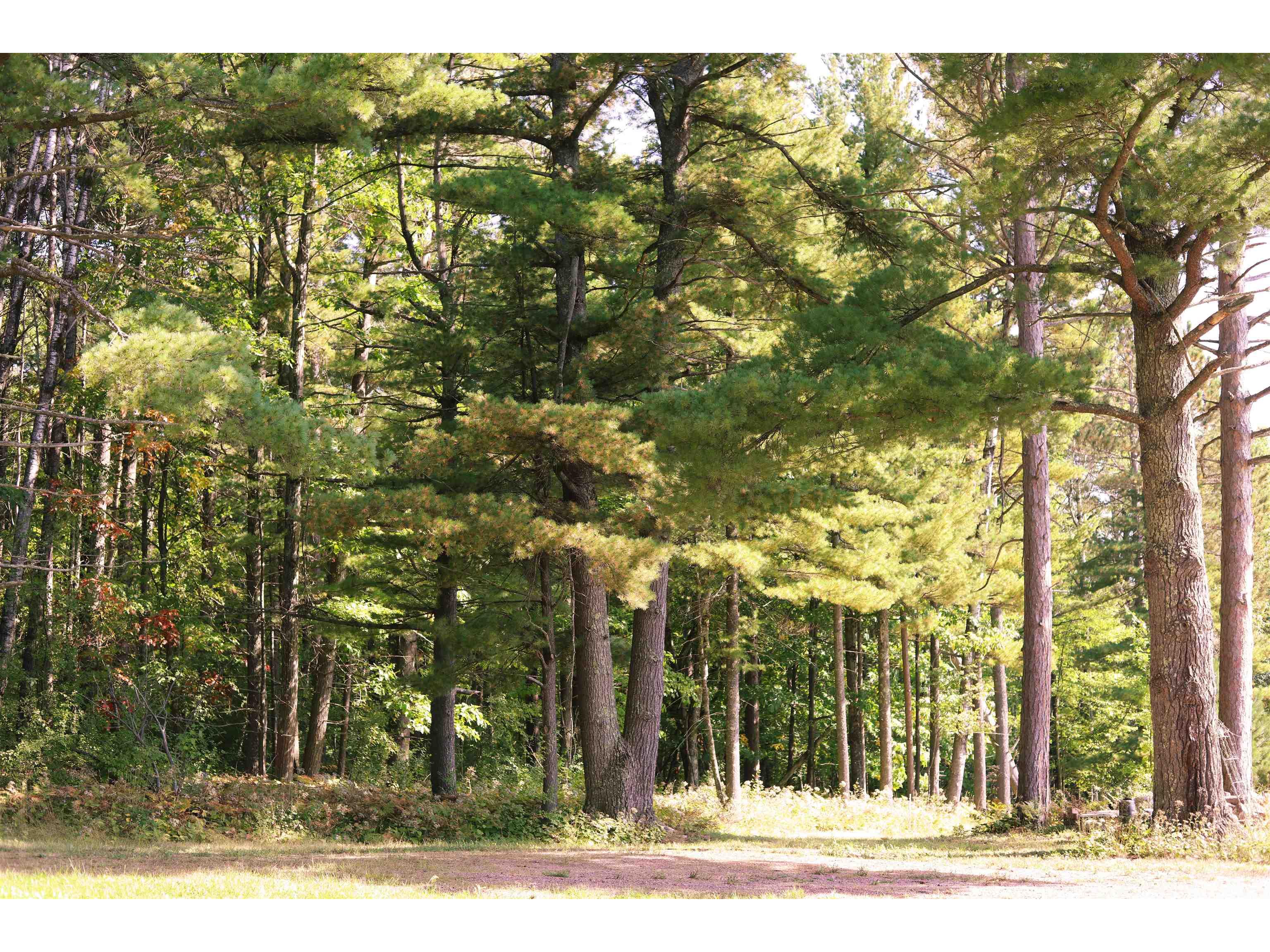 000 W 10th Ave Washburn WI 54891 6122003 image23