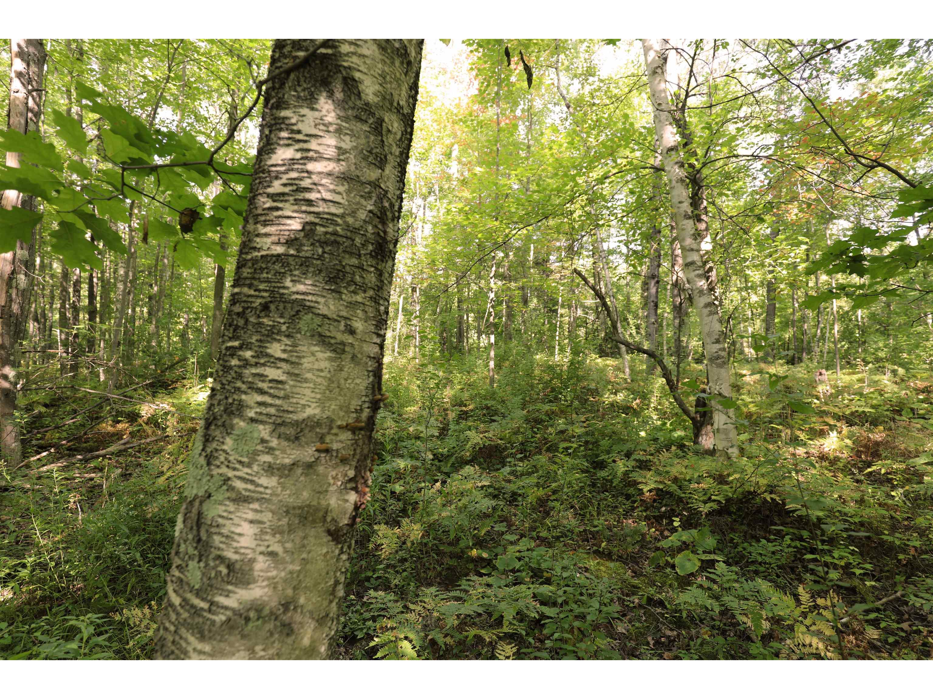 000 W 10th Ave Washburn WI 54891 6122003 image24