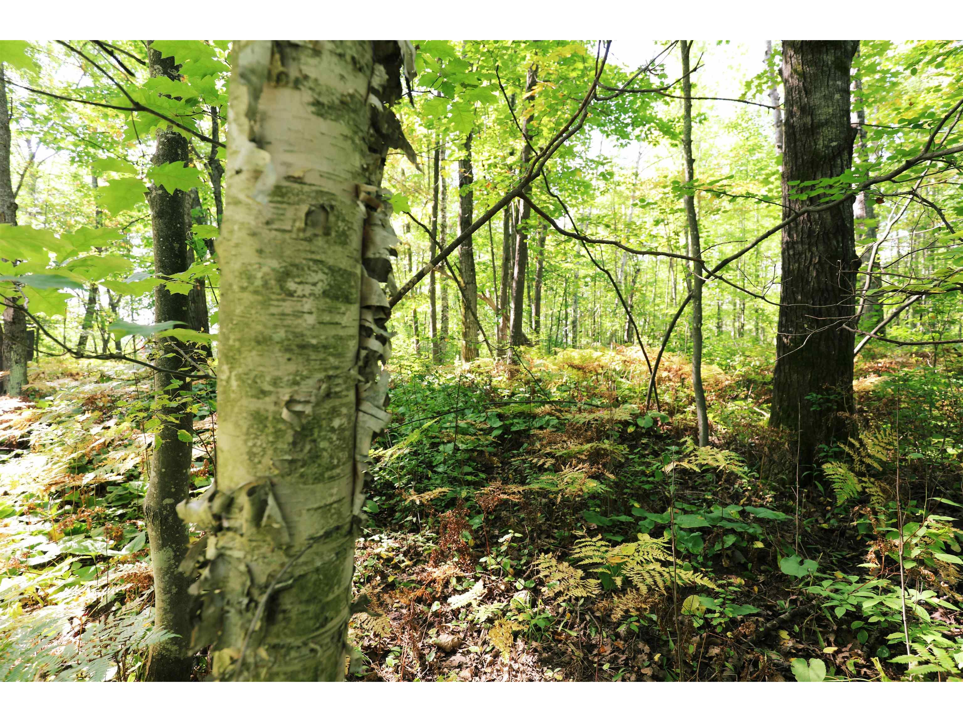 000 W 10th Ave Washburn WI 54891 6122003 image26