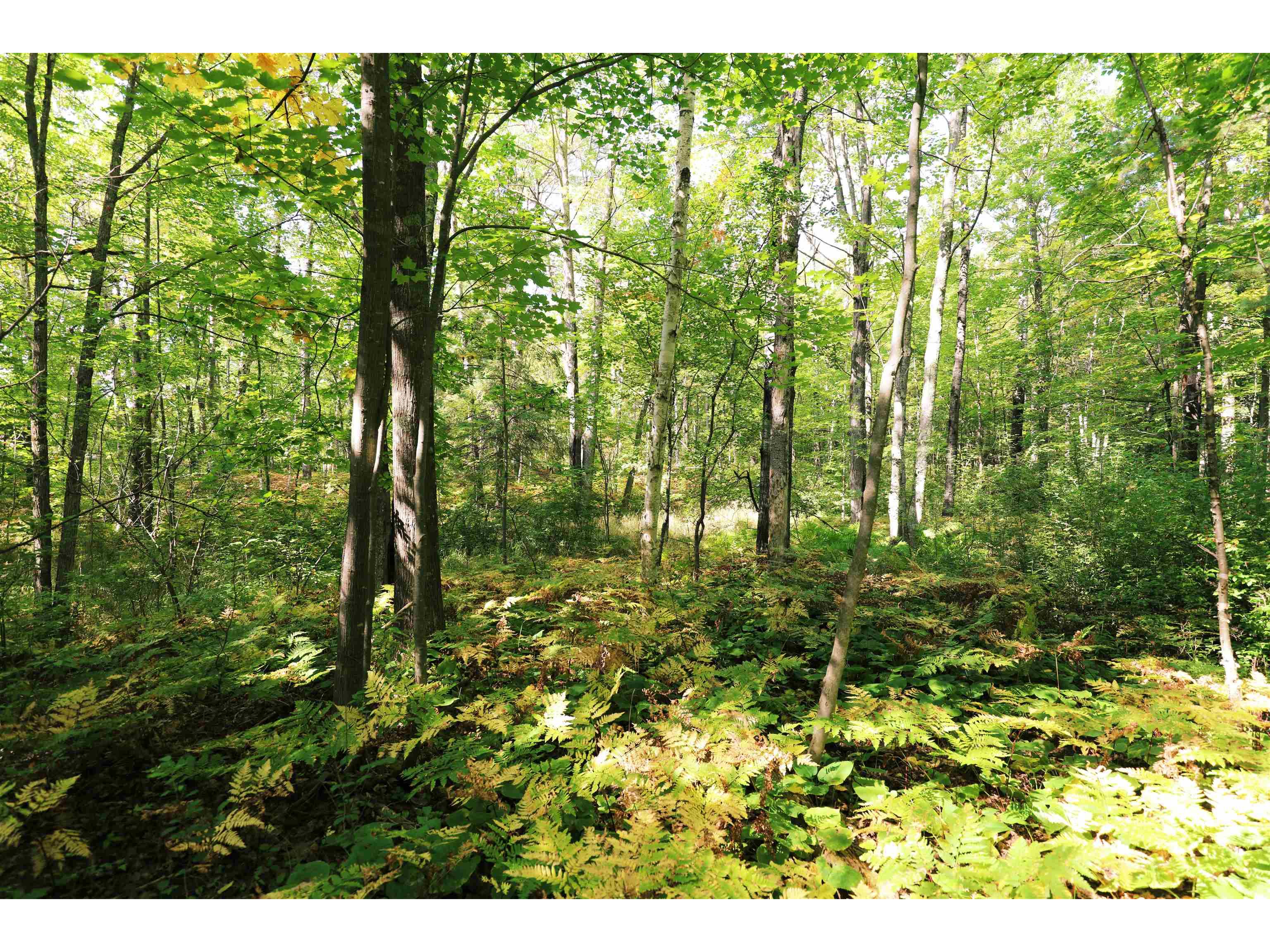 000 W 10th Ave Washburn WI 54891 6122003 image27