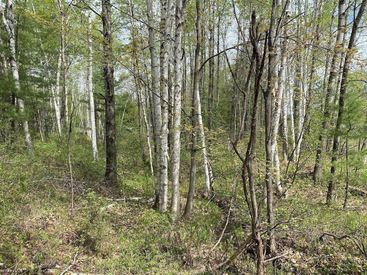 000 W 12th St Washburn WI 54891 6119719 image10