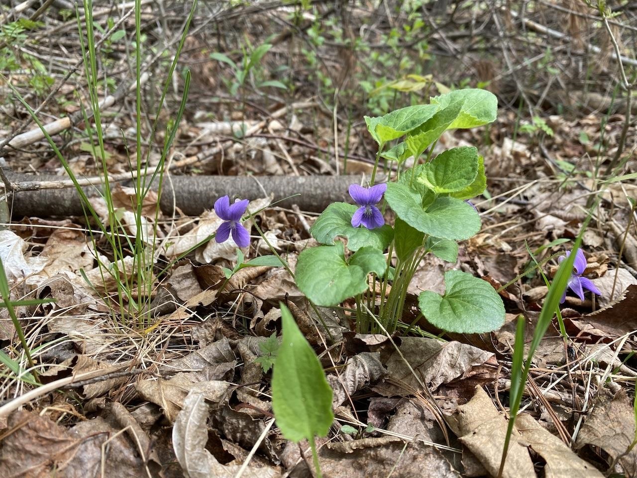 000 W 12th St Washburn WI 54891 6119719 image11