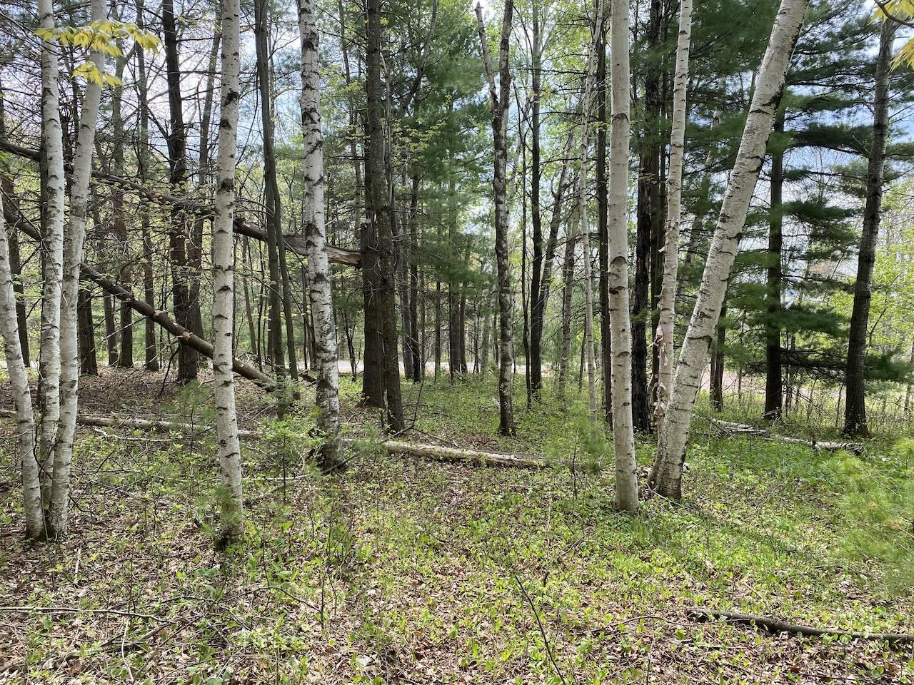 000 W 12th St Washburn WI 54891 6119719 image13