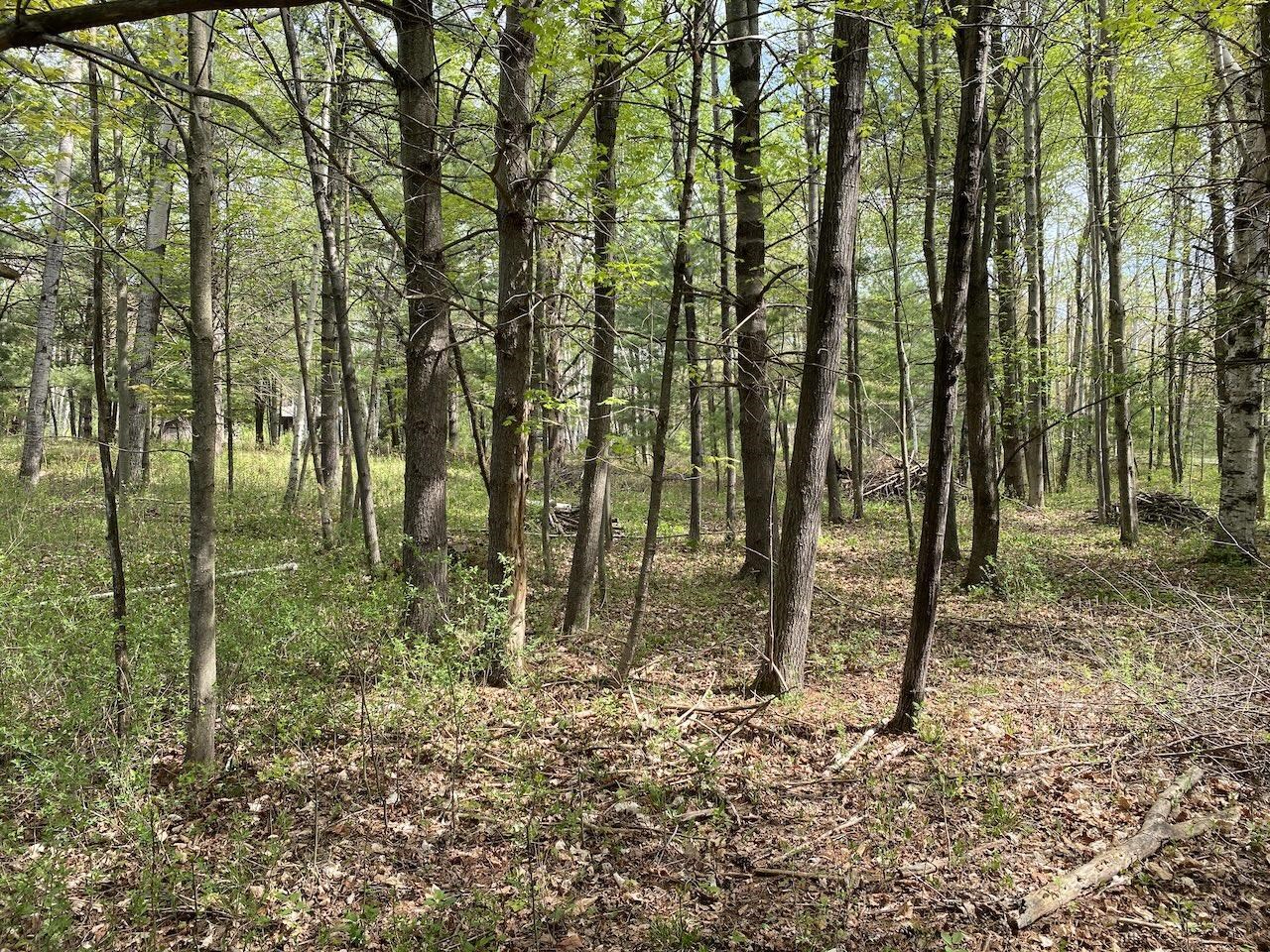 000 W 12th St Washburn WI 54891 6119719 image14