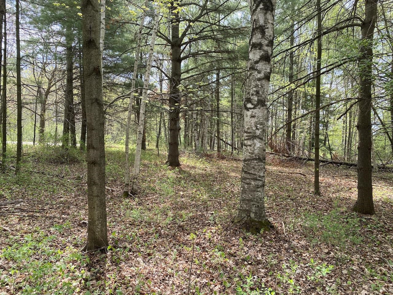 000 W 12th St Washburn WI 54891 6119719 image15