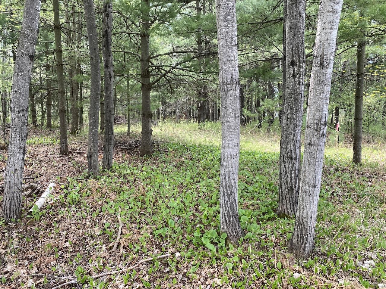 000 W 12th St Washburn WI 54891 6119719 image18