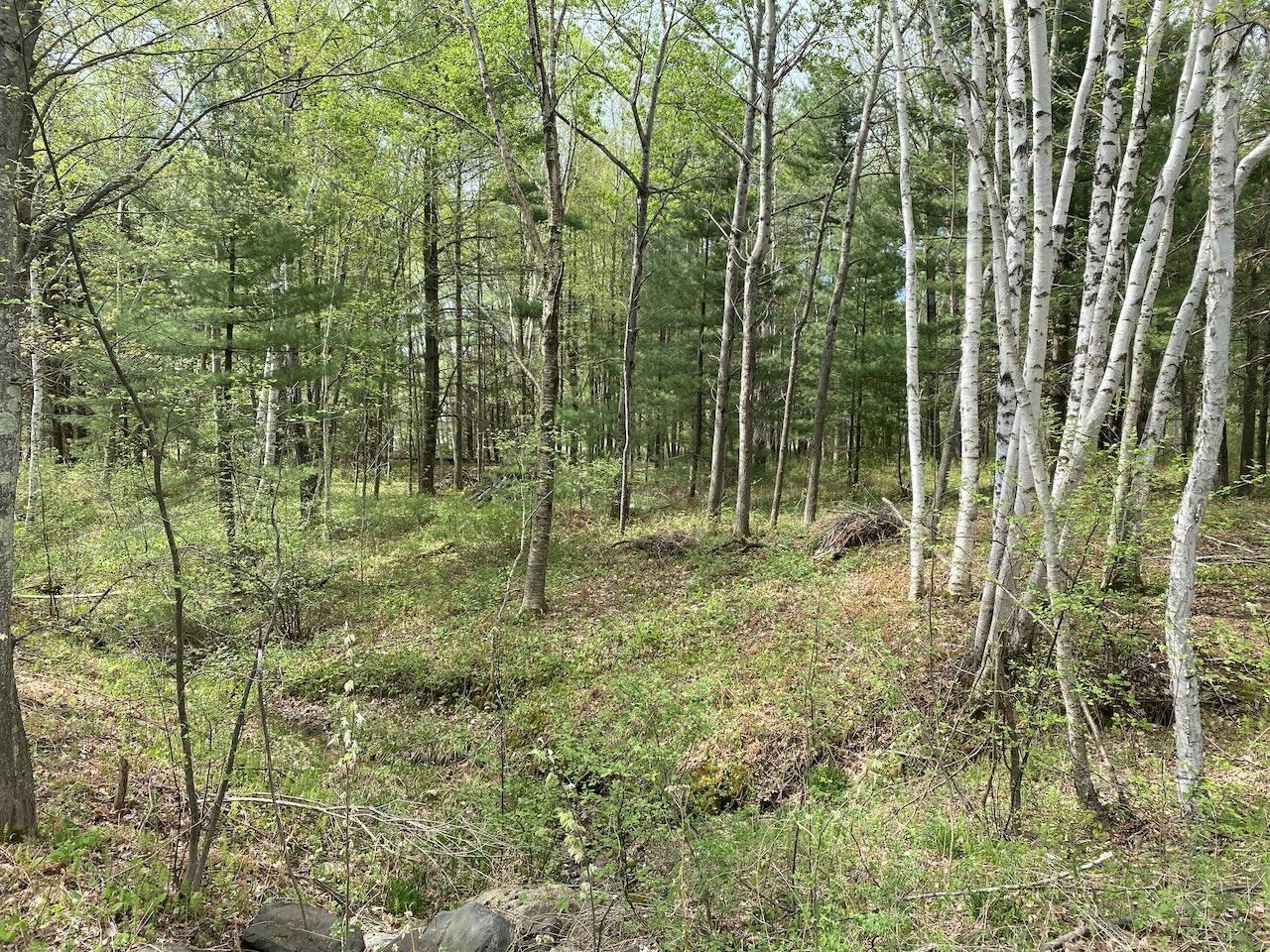 000 W 12th St Washburn WI 54891 6119719 image19