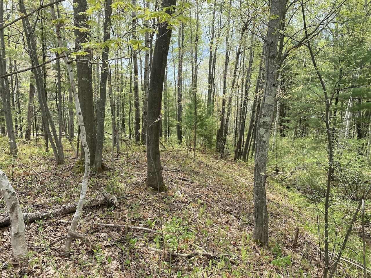 000 W 12th St Washburn WI 54891 6119719 image3