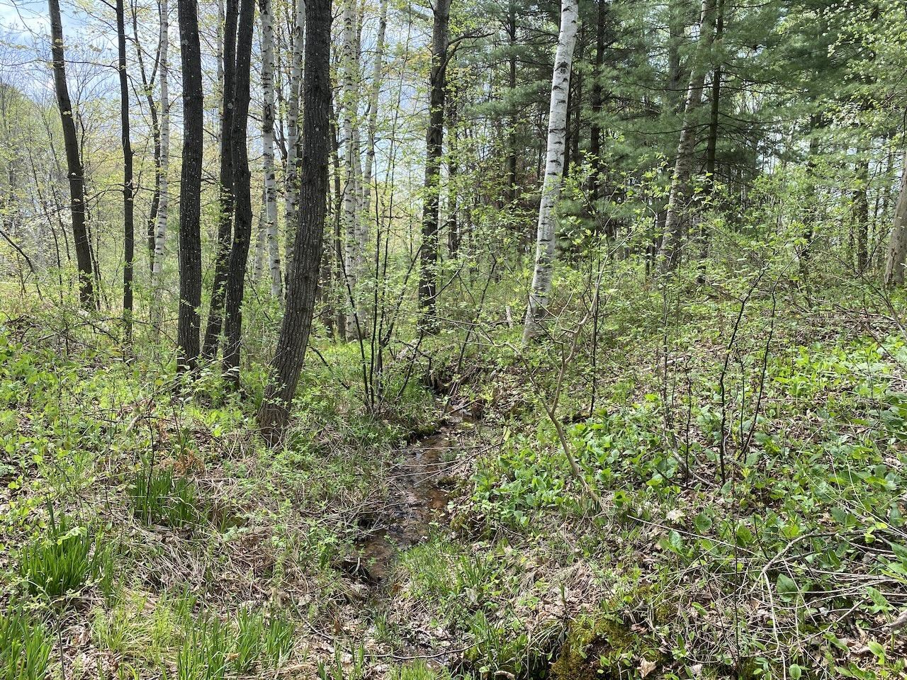 000 W 12th St Washburn WI 54891 6119719 image4