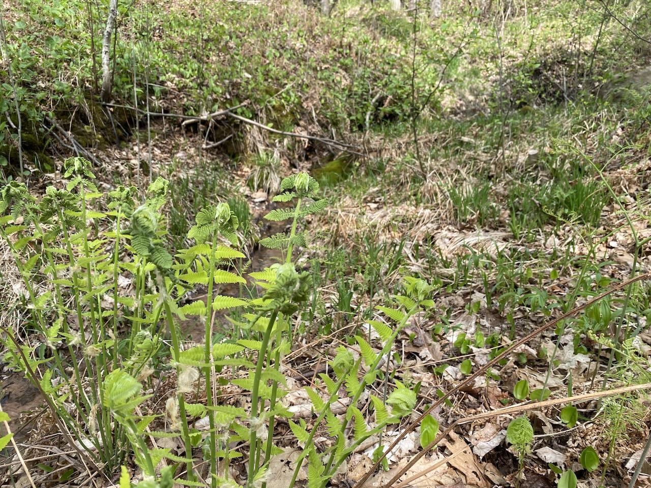 000 W 12th St Washburn WI 54891 6119719 image6