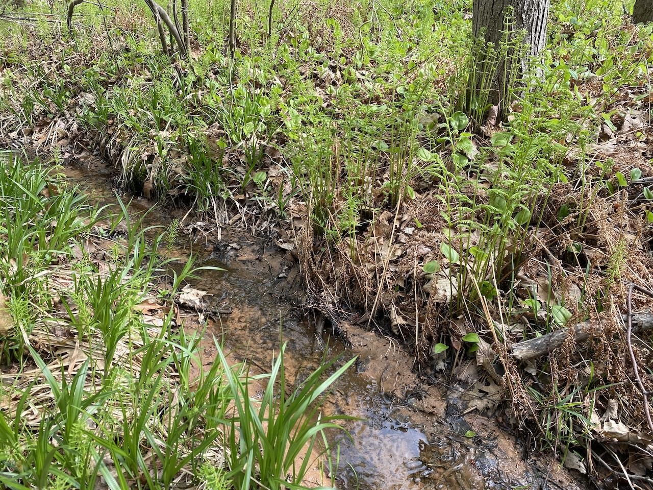 000 W 12th St Washburn WI 54891 6119719 image8