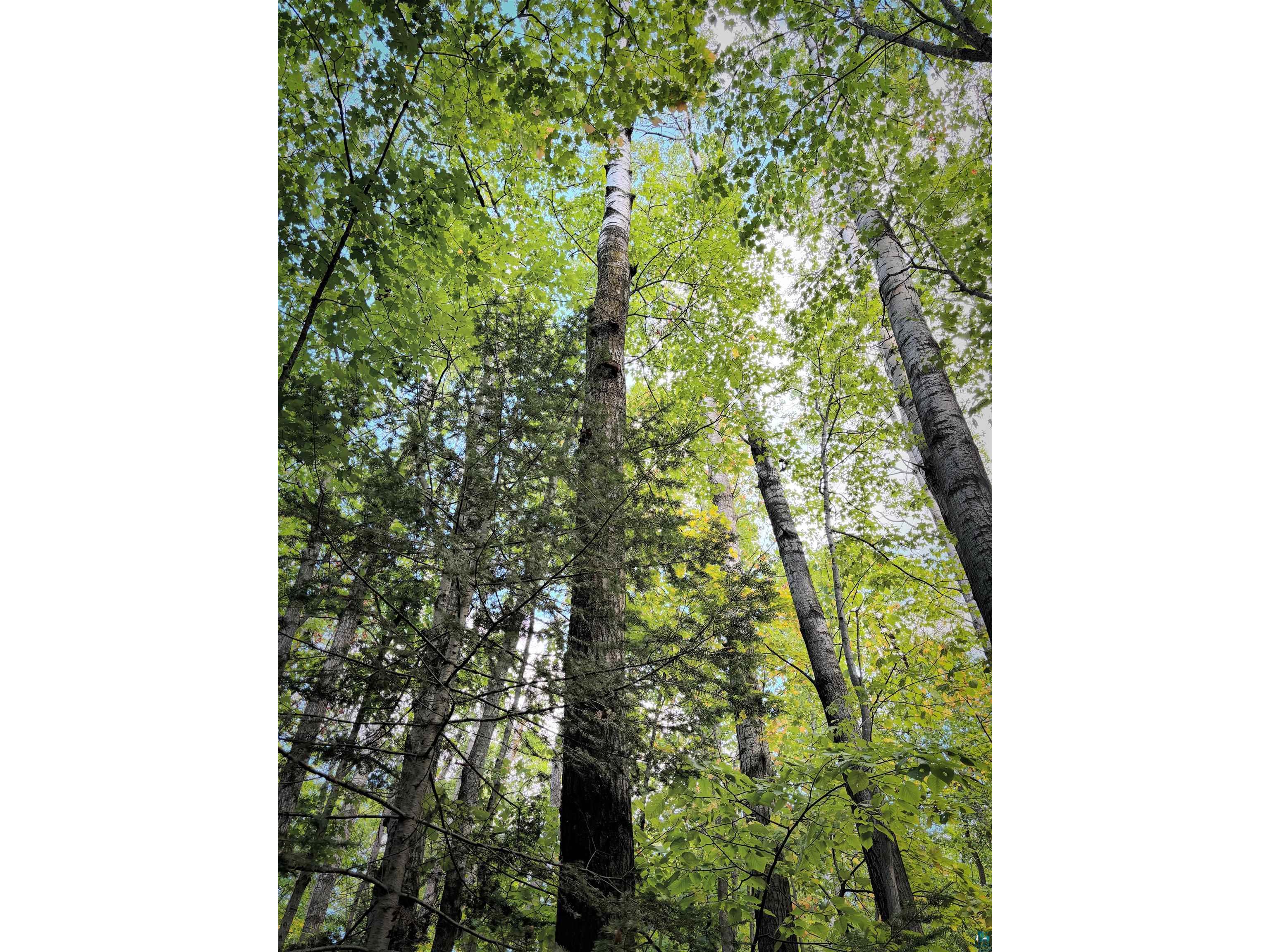 000 Woodland Rd Ashland WI 54806 6116195 image1