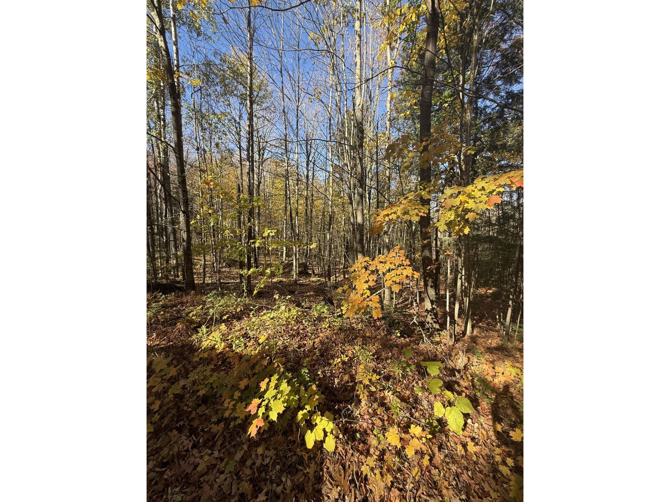 0000 Ashland Bayfield Rd Ashland WI 54806 6122449 image4