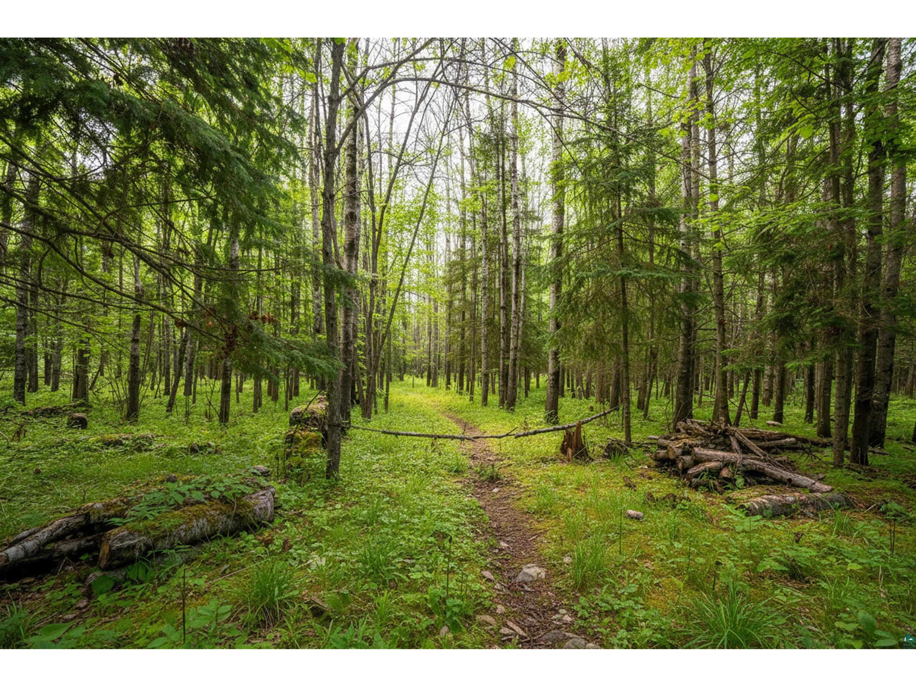 0000 Bass Lake Rd Gilbert MN 55741 - Bass Lake 6124094 image23