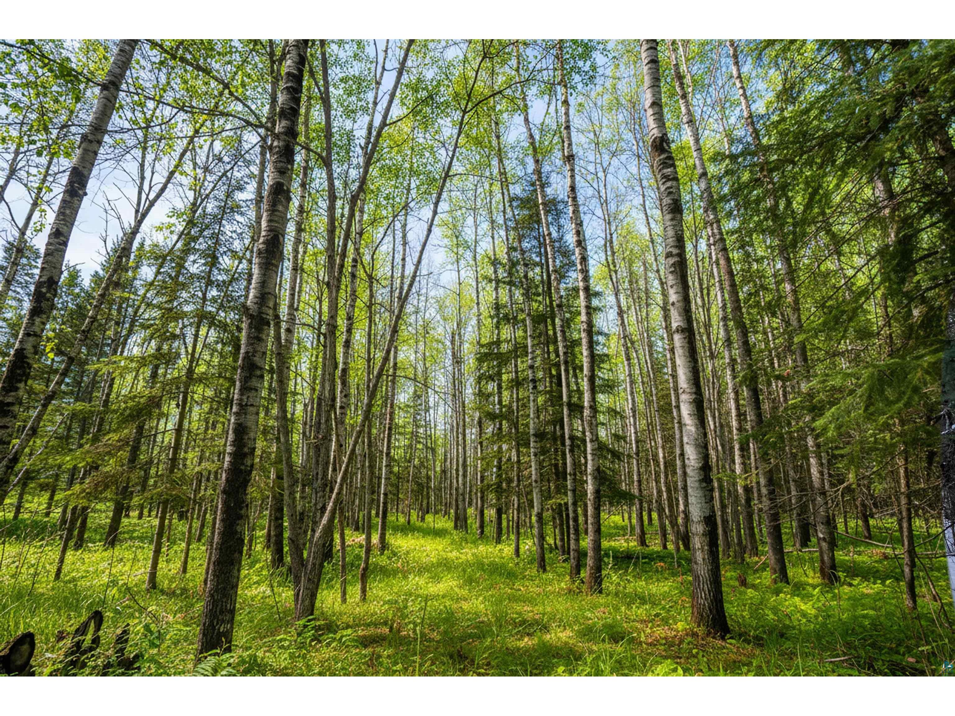 0000 Bass Lake Rd Gilbert MN 55741 - Bass Lake 6124094 image26