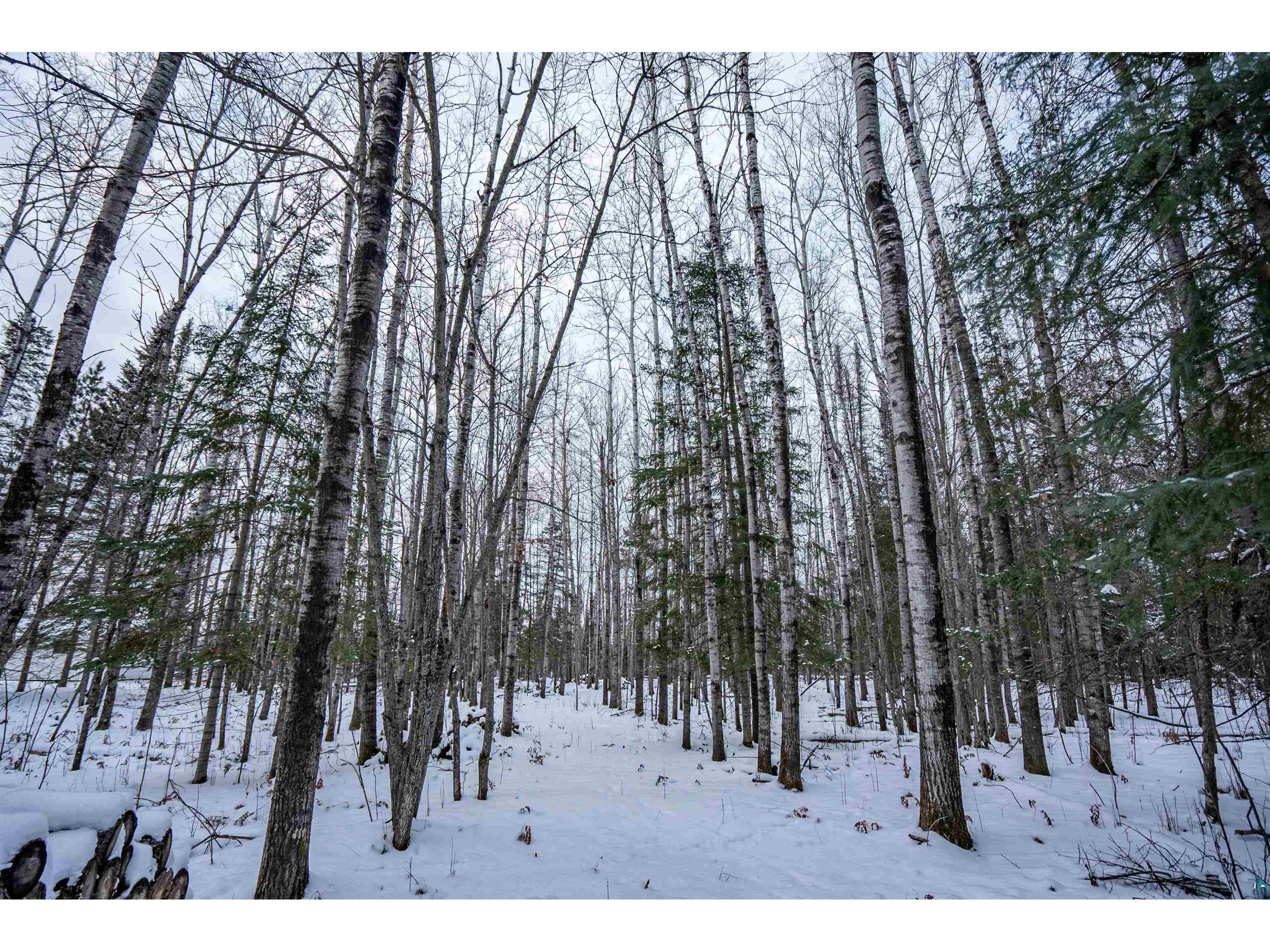 0000 Bass Lake Rd Gilbert MN 55741 - Bass Lake 6124094 image27