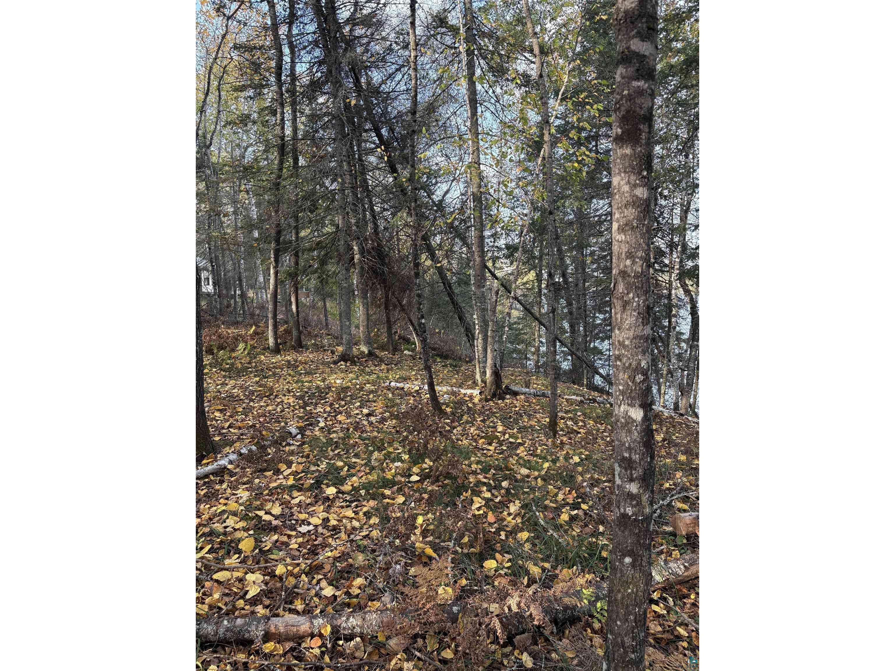 0000 Bass Lake Rd Gilbert MN 55741 - Bass Lake 6124094 image32