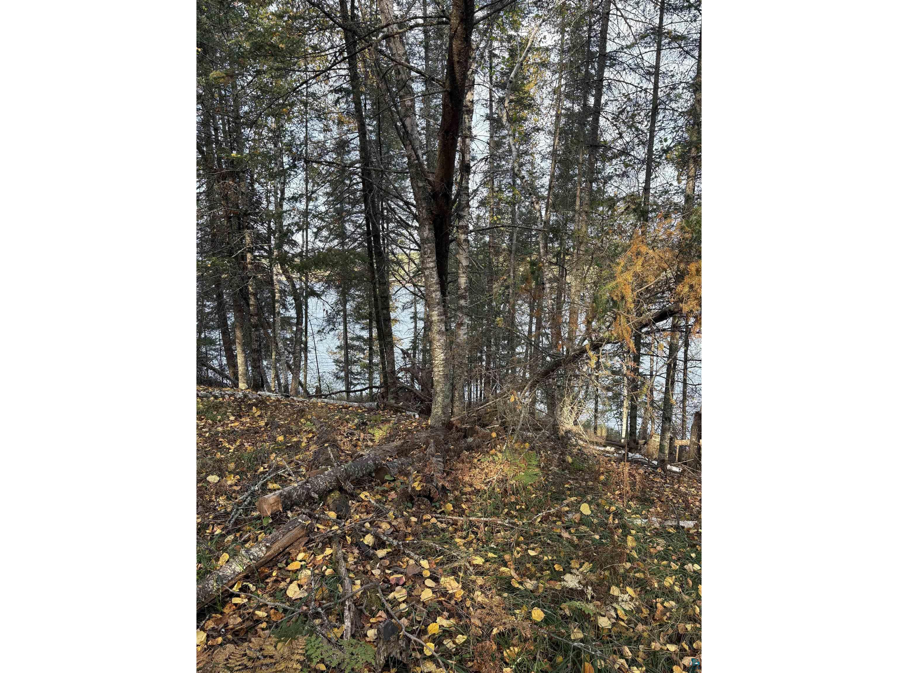 0000 Bass Lake Rd Gilbert MN 55741 - Bass Lake 6124094 image33