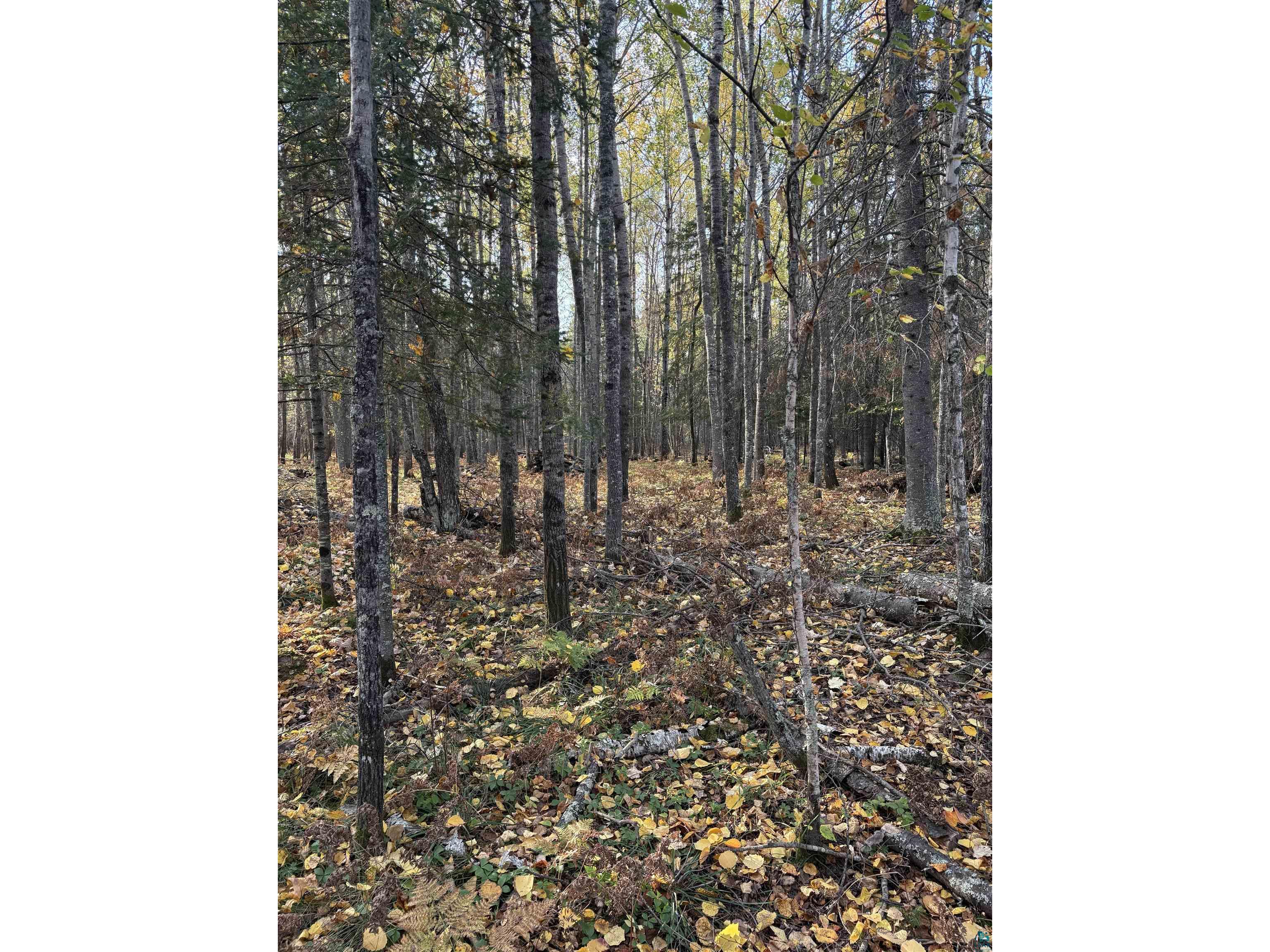 0000 Bass Lake Rd Gilbert MN 55741 - Bass Lake 6124094 image35