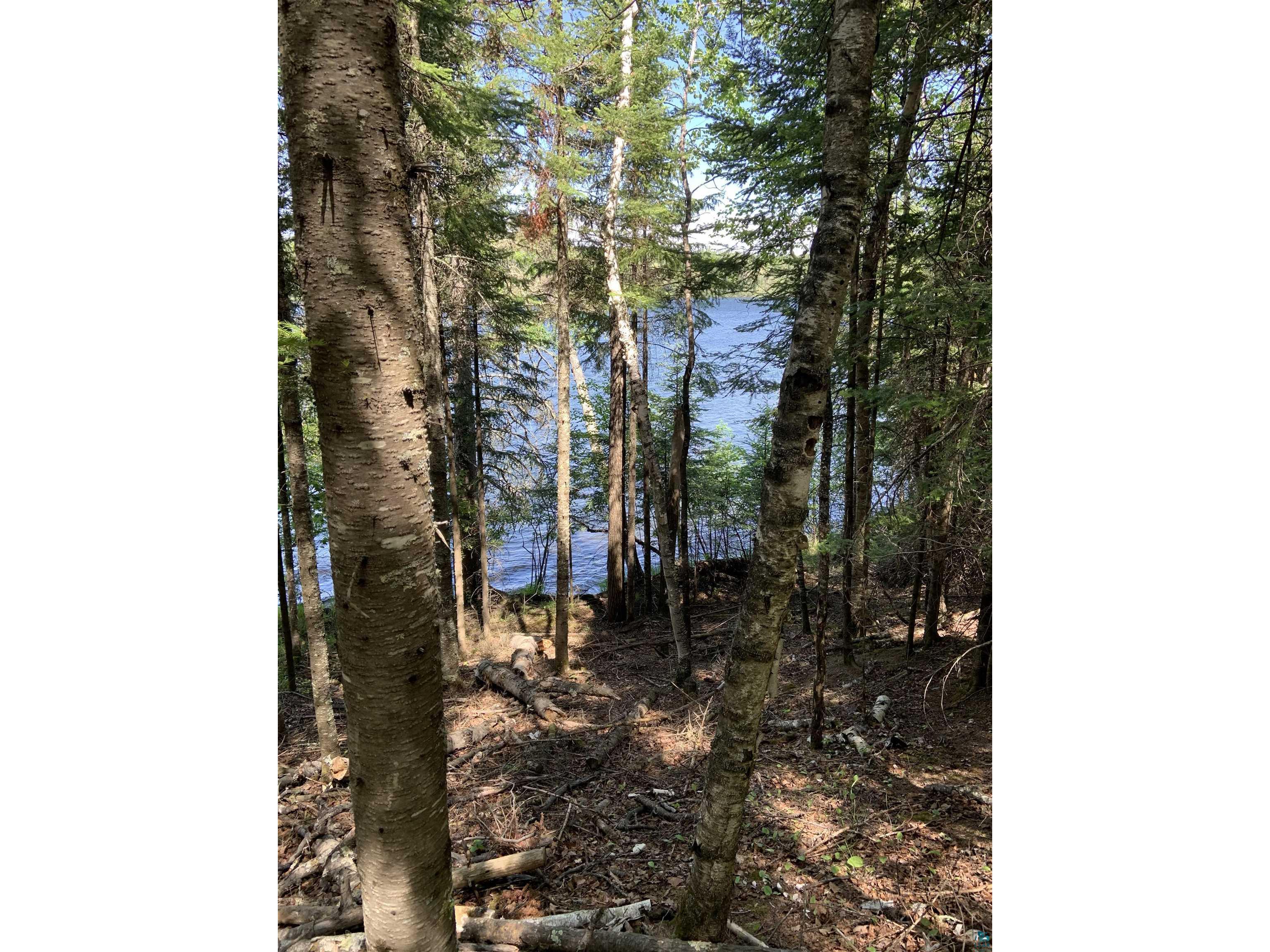 0000 Bass Lake Rd Gilbert MN 55741 - Bass Lake 6124094 image38