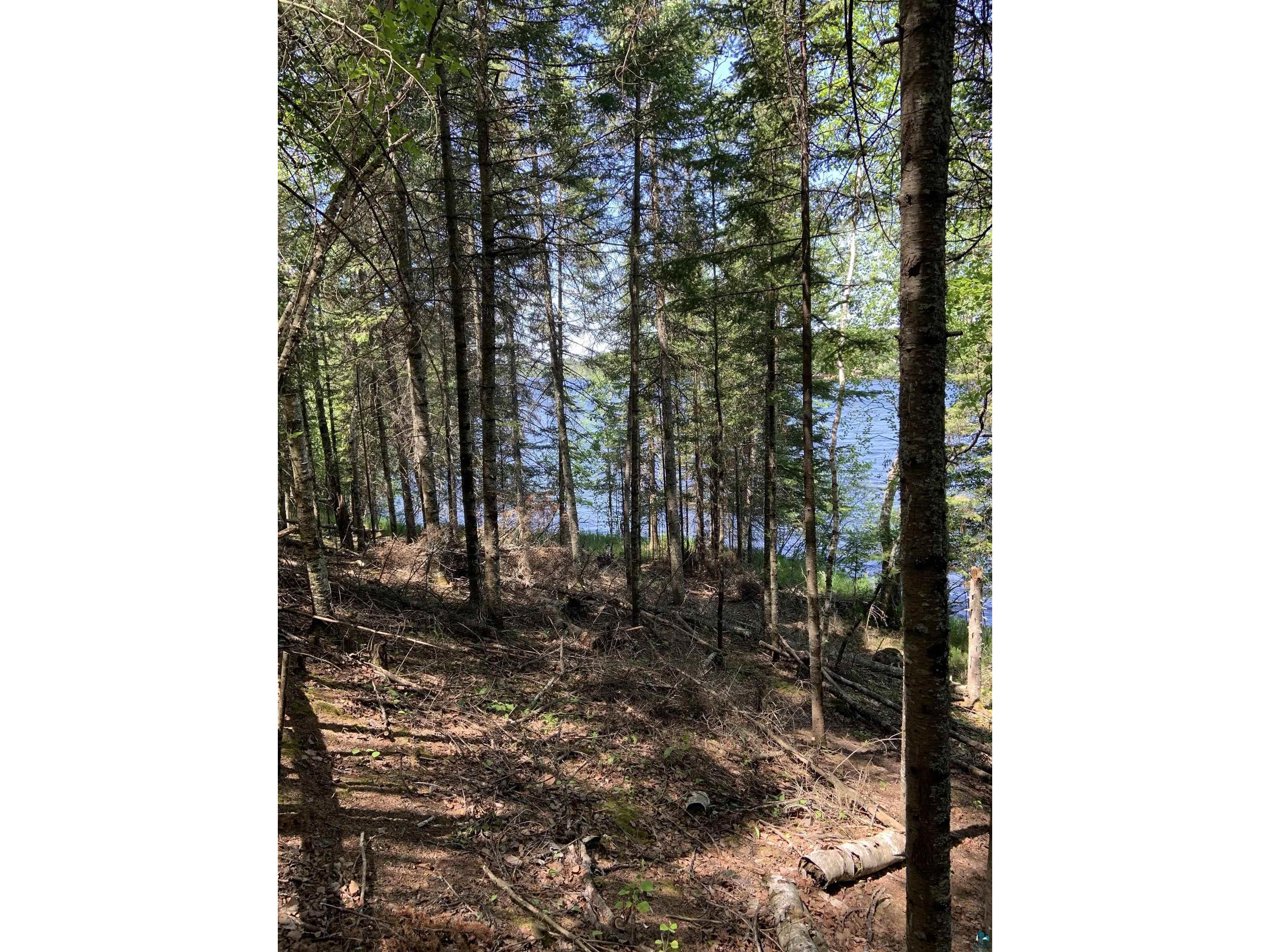 0000 Bass Lake Rd Gilbert MN 55741 - Bass Lake 6124094 image39