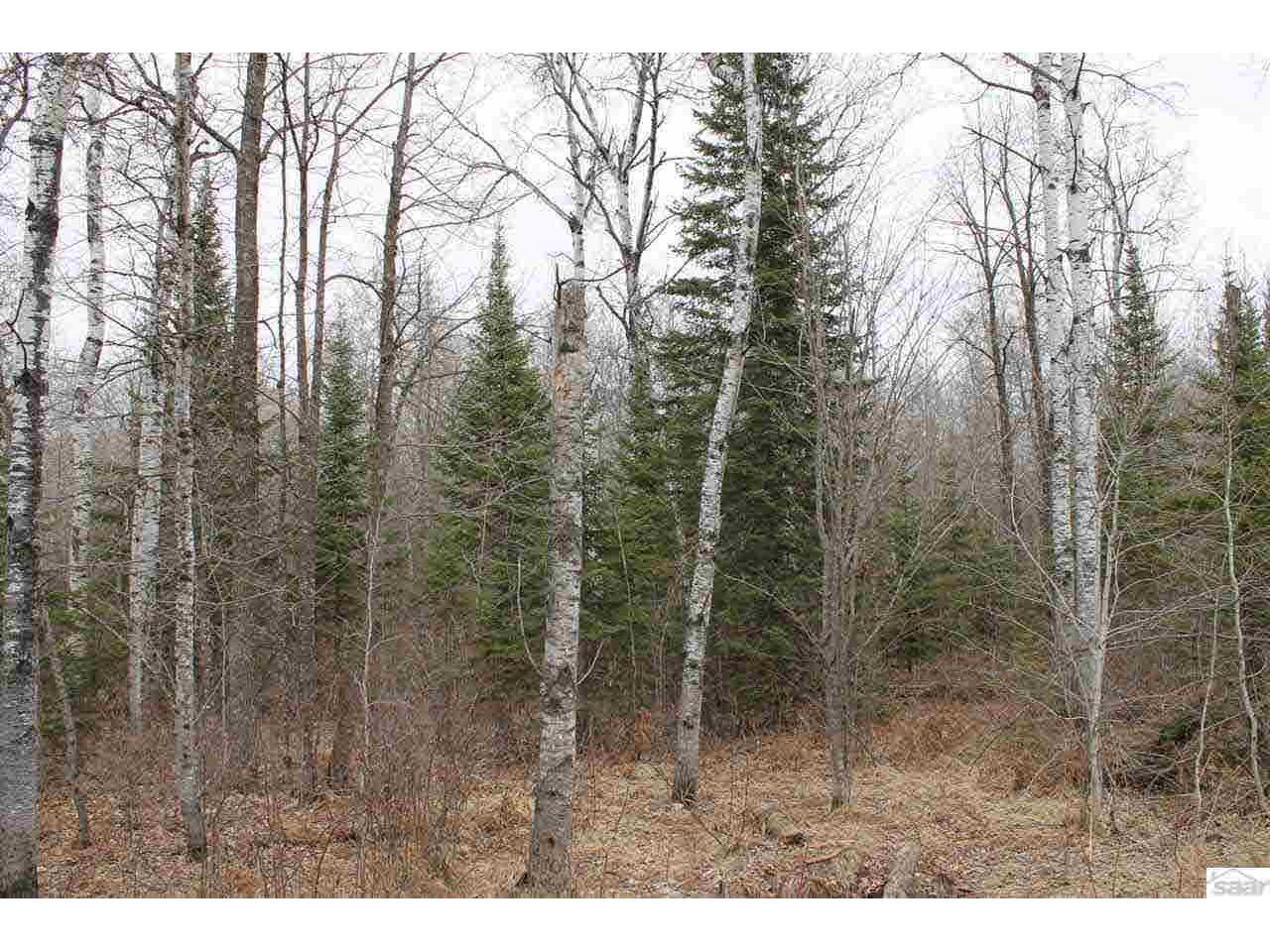 0000 Government Rd Ashland WI 54806 - Bad River 6070302 image1