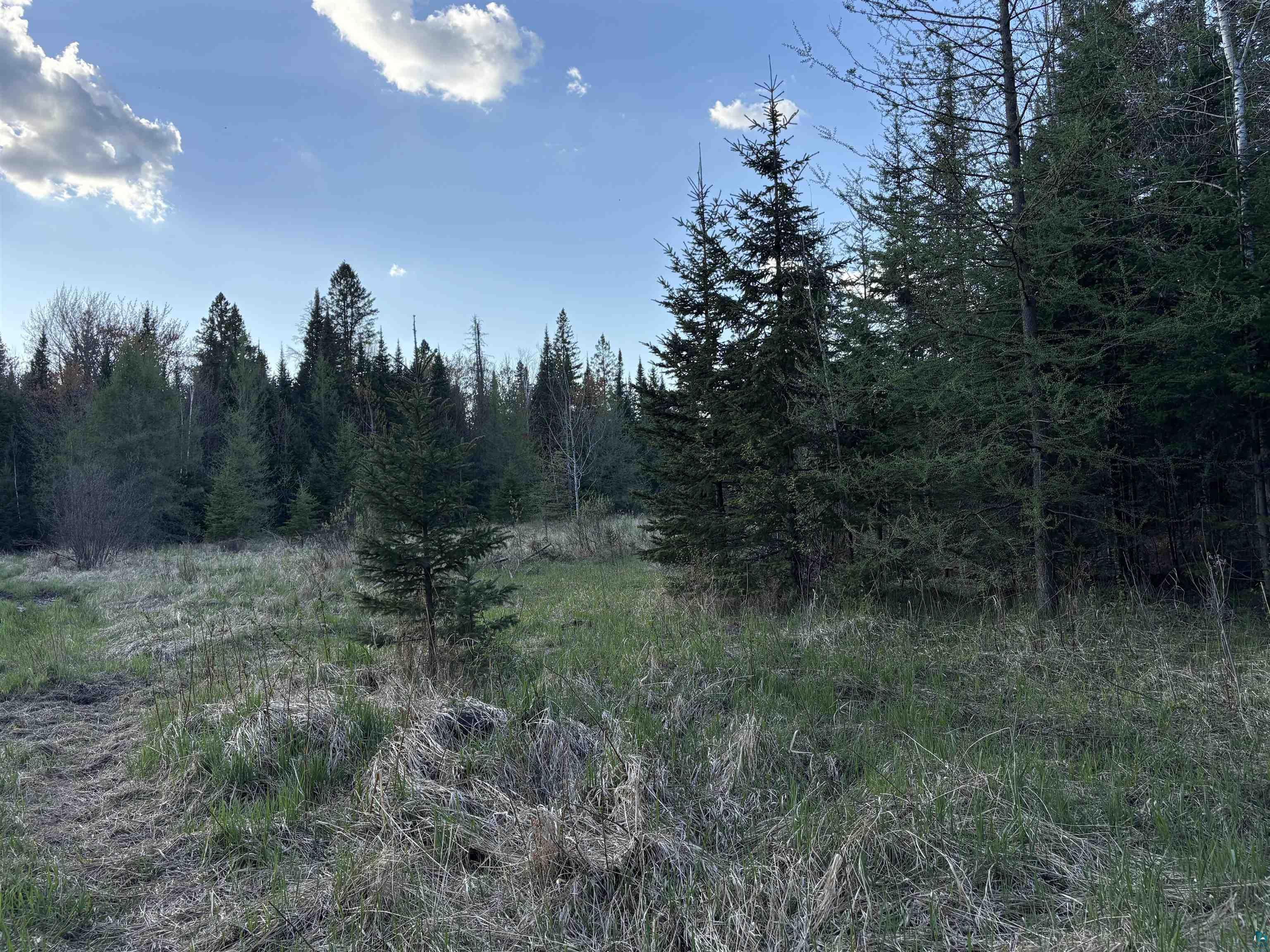 0000 Mertig Rd Glidden WI 54527 6119137 image10