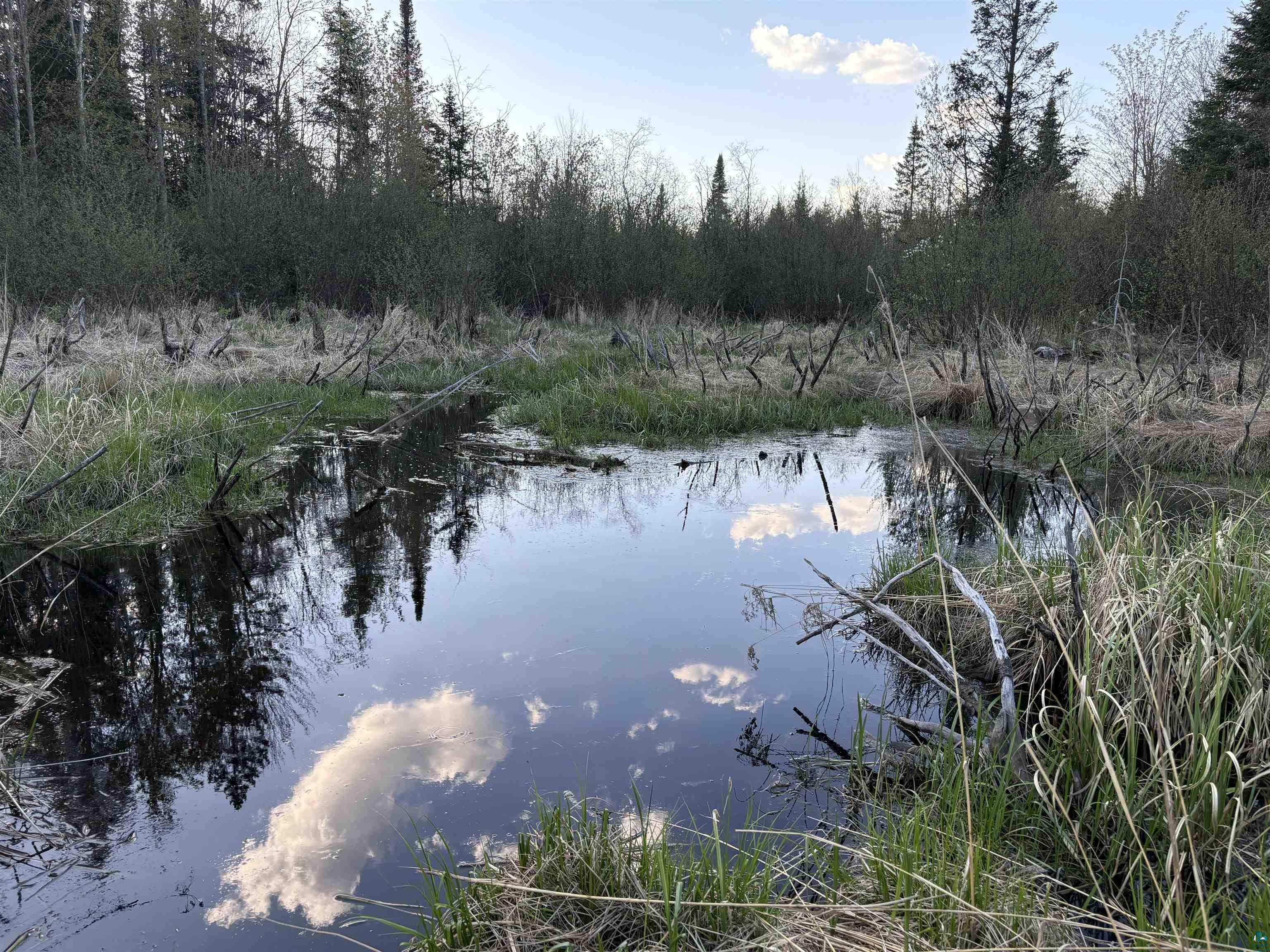 0000 Mertig Rd Glidden WI 54527 6119137 image11