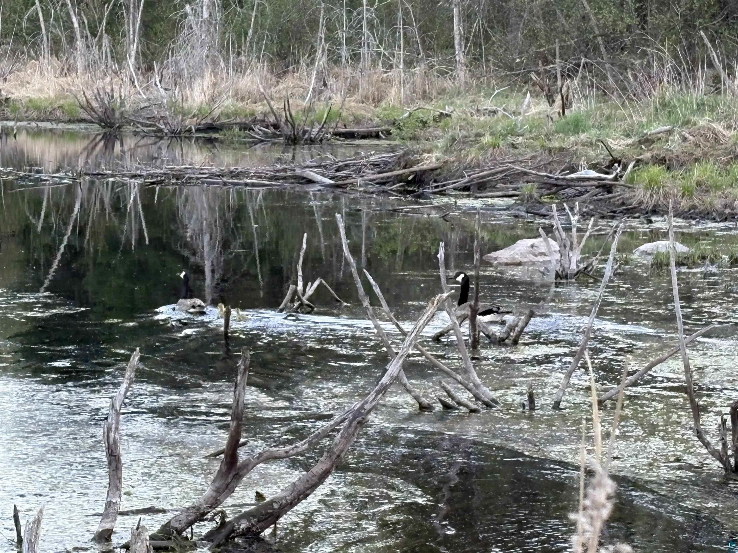 0000 Mertig Rd Glidden WI 54527 6119137 image14