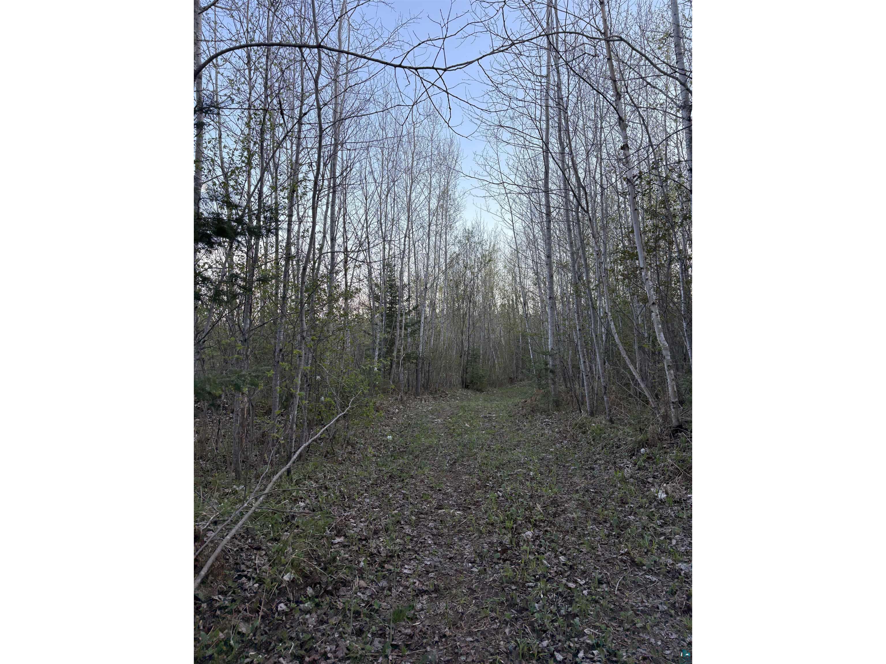 0000 Mertig Rd Glidden WI 54527 6119137 image15