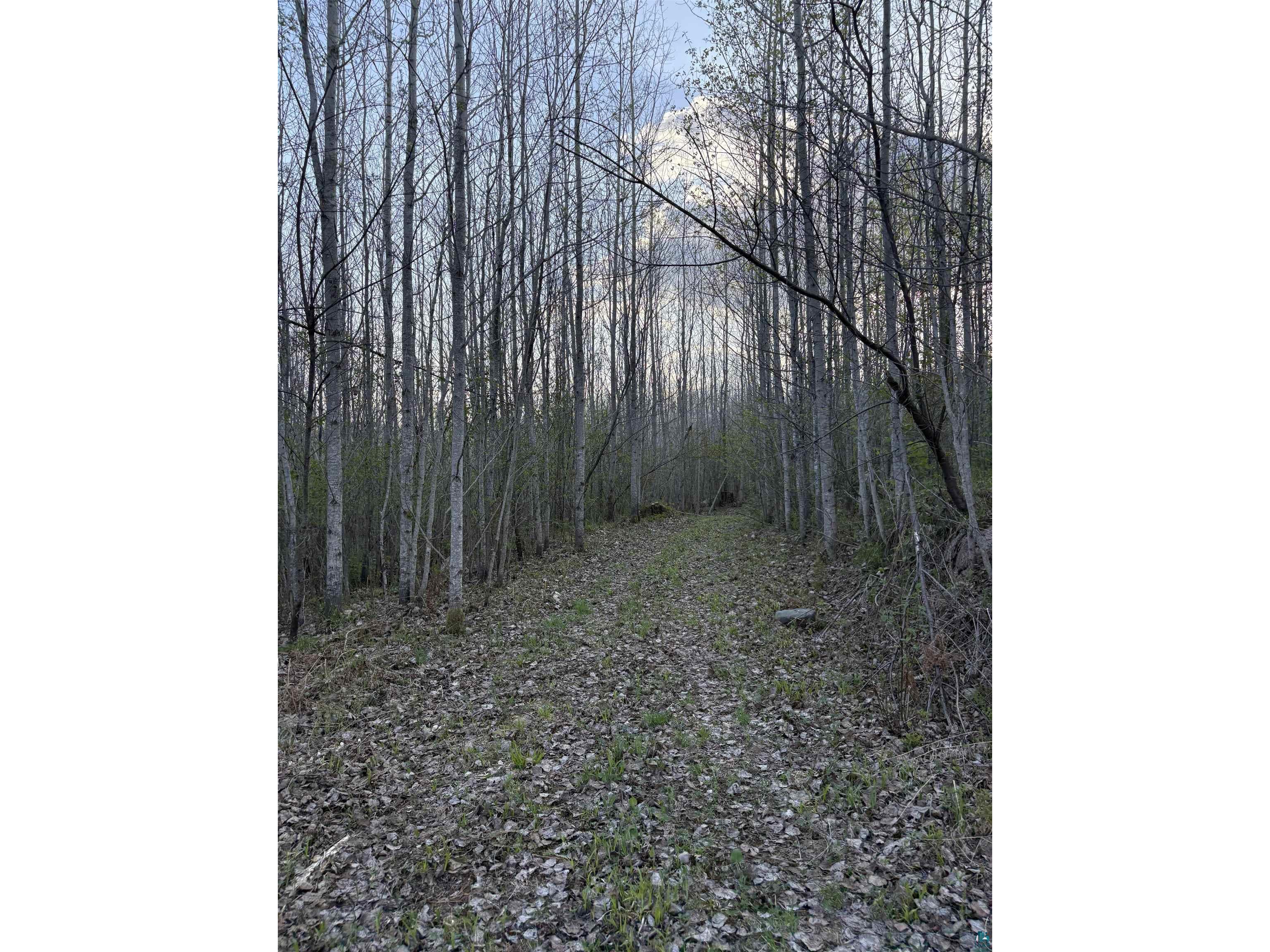 0000 Mertig Rd Glidden WI 54527 6119137 image16