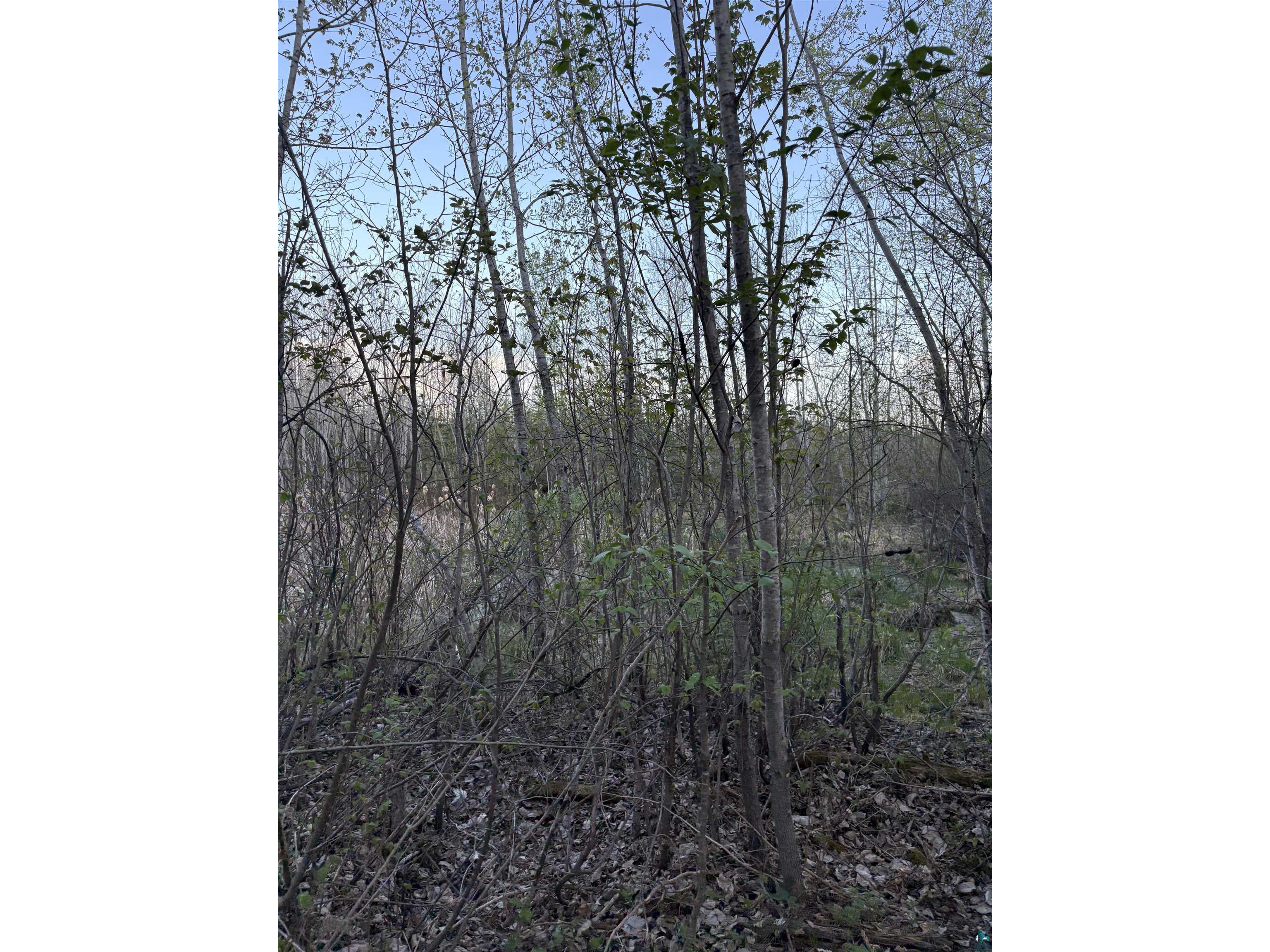 0000 Mertig Rd Glidden WI 54527 6119137 image17