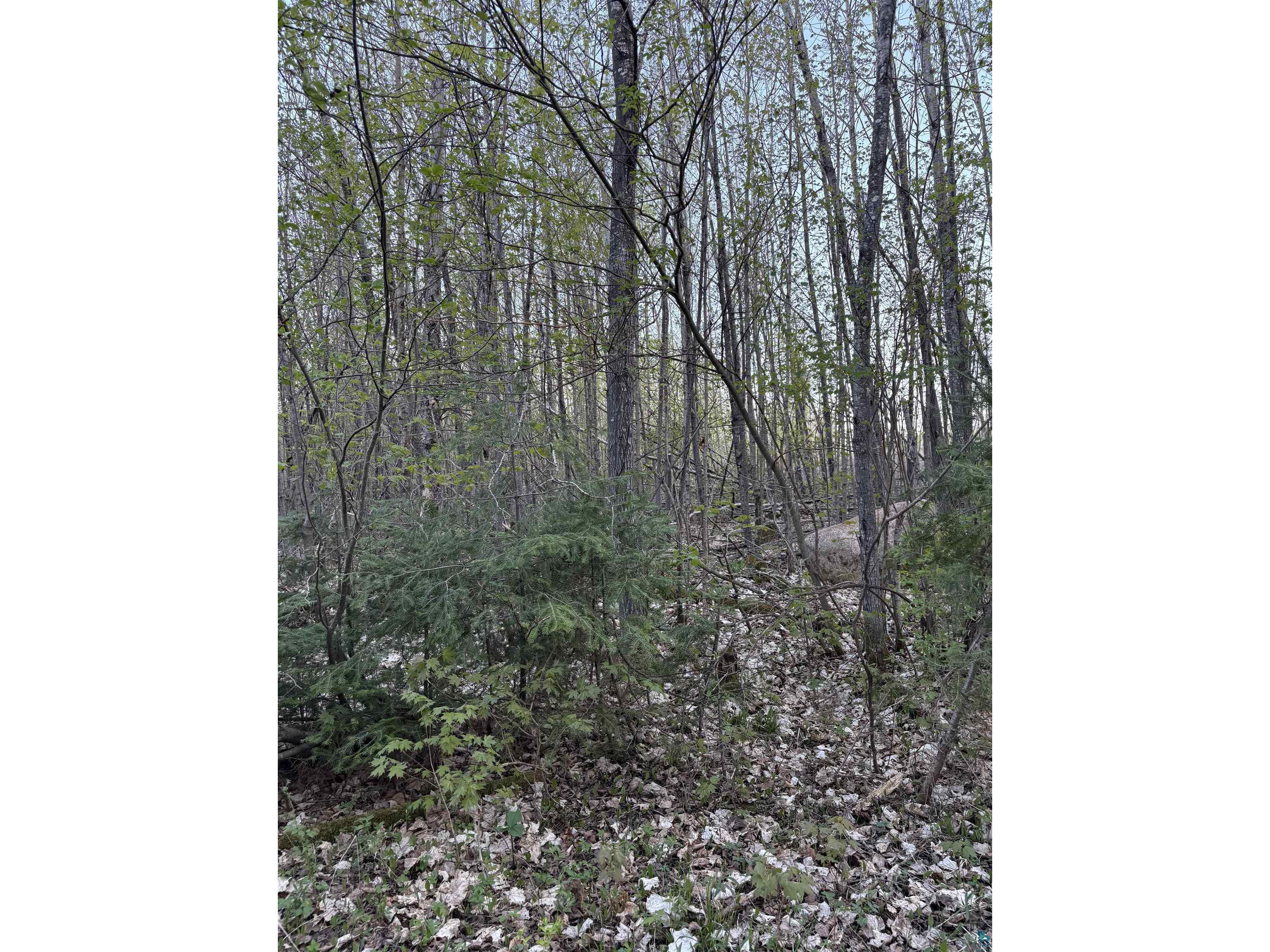 0000 Mertig Rd Glidden WI 54527 6119137 image18