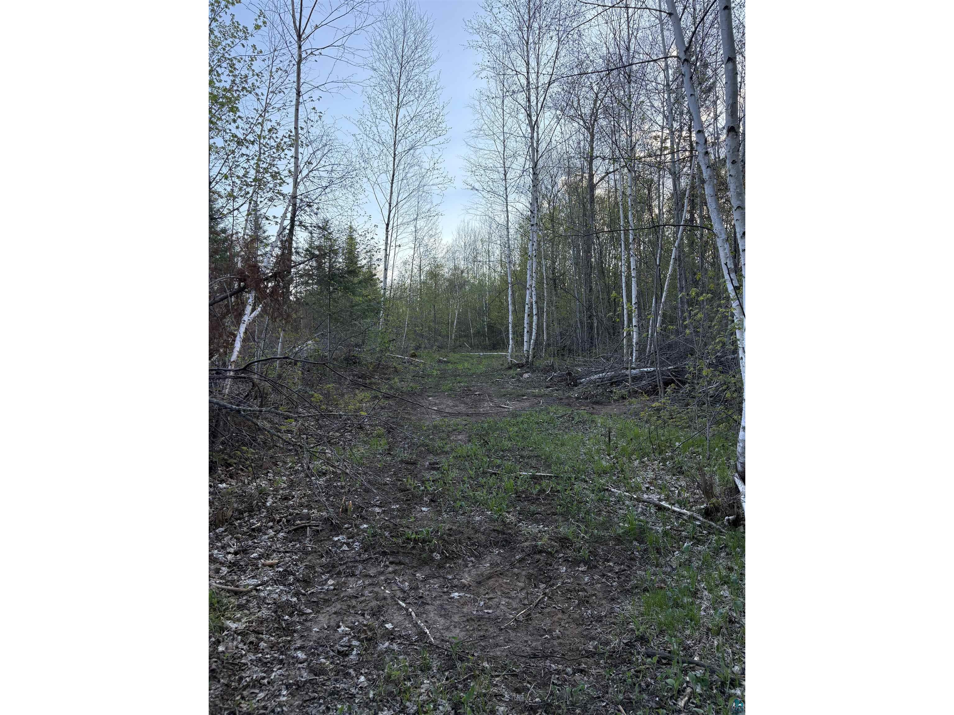 0000 Mertig Rd Glidden WI 54527 6119137 image19