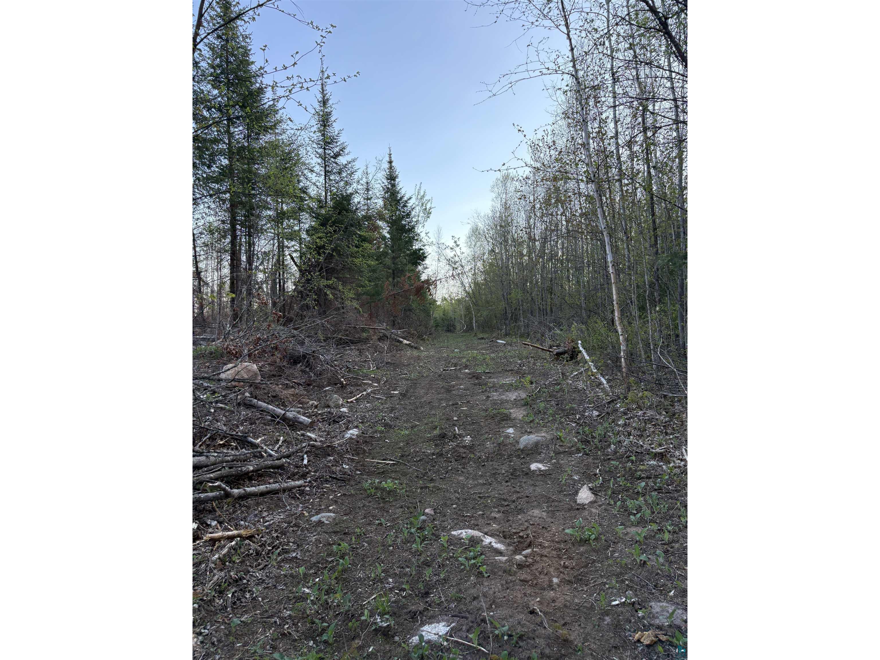 0000 Mertig Rd Glidden WI 54527 6119137 image20