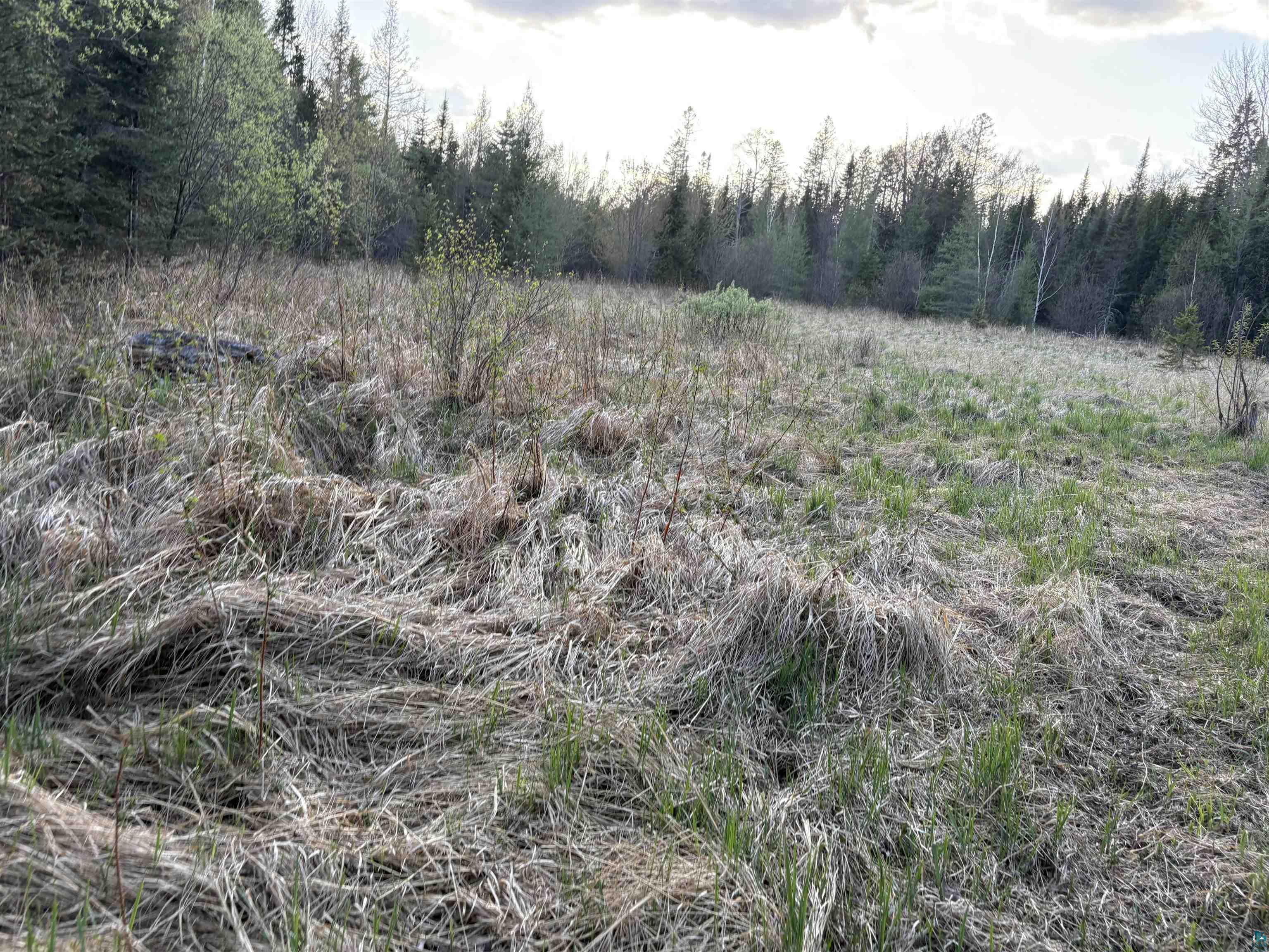 0000 Mertig Rd Glidden WI 54527 6119137 image3