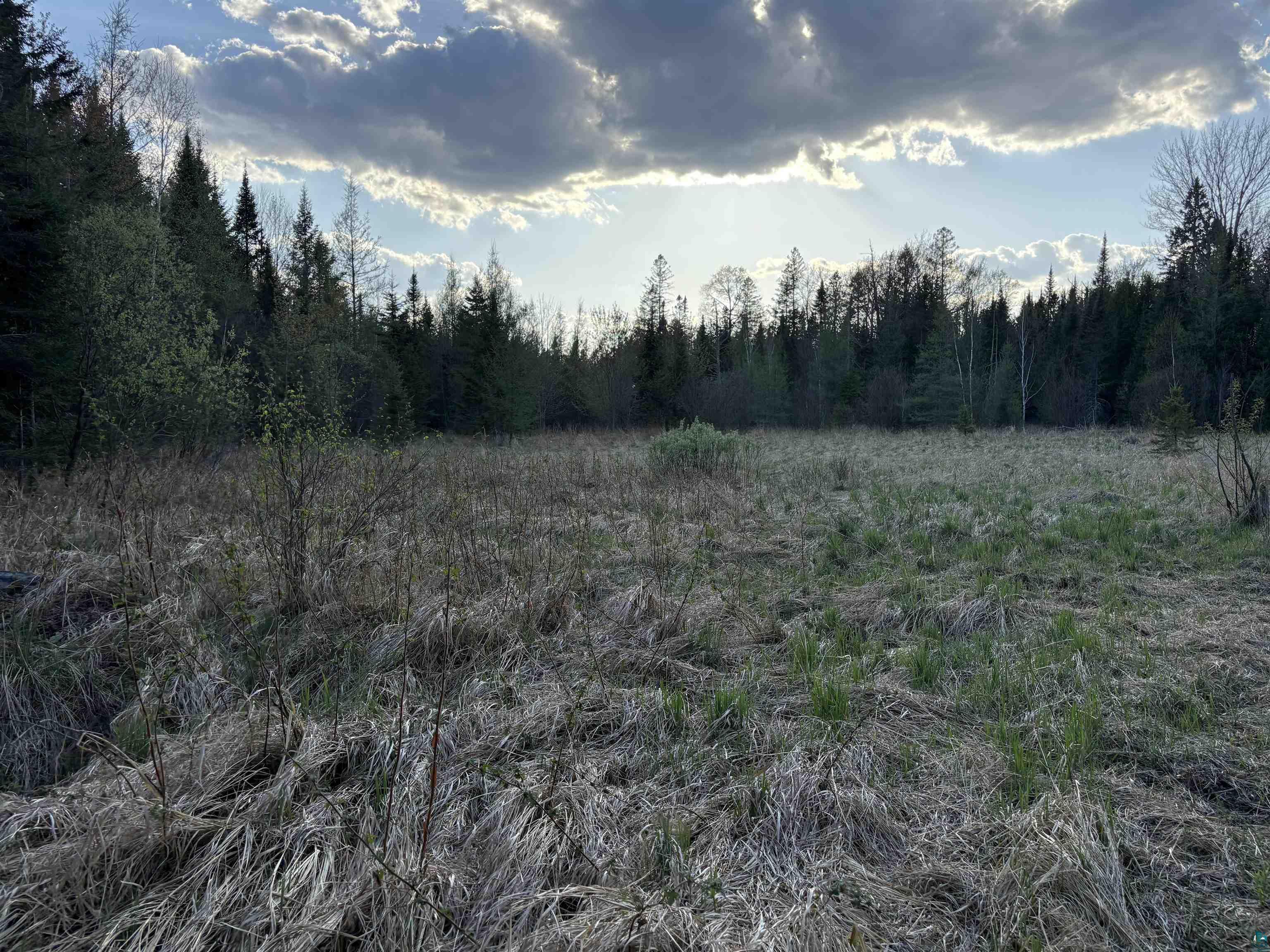 0000 Mertig Rd Glidden WI 54527 6119137 image6