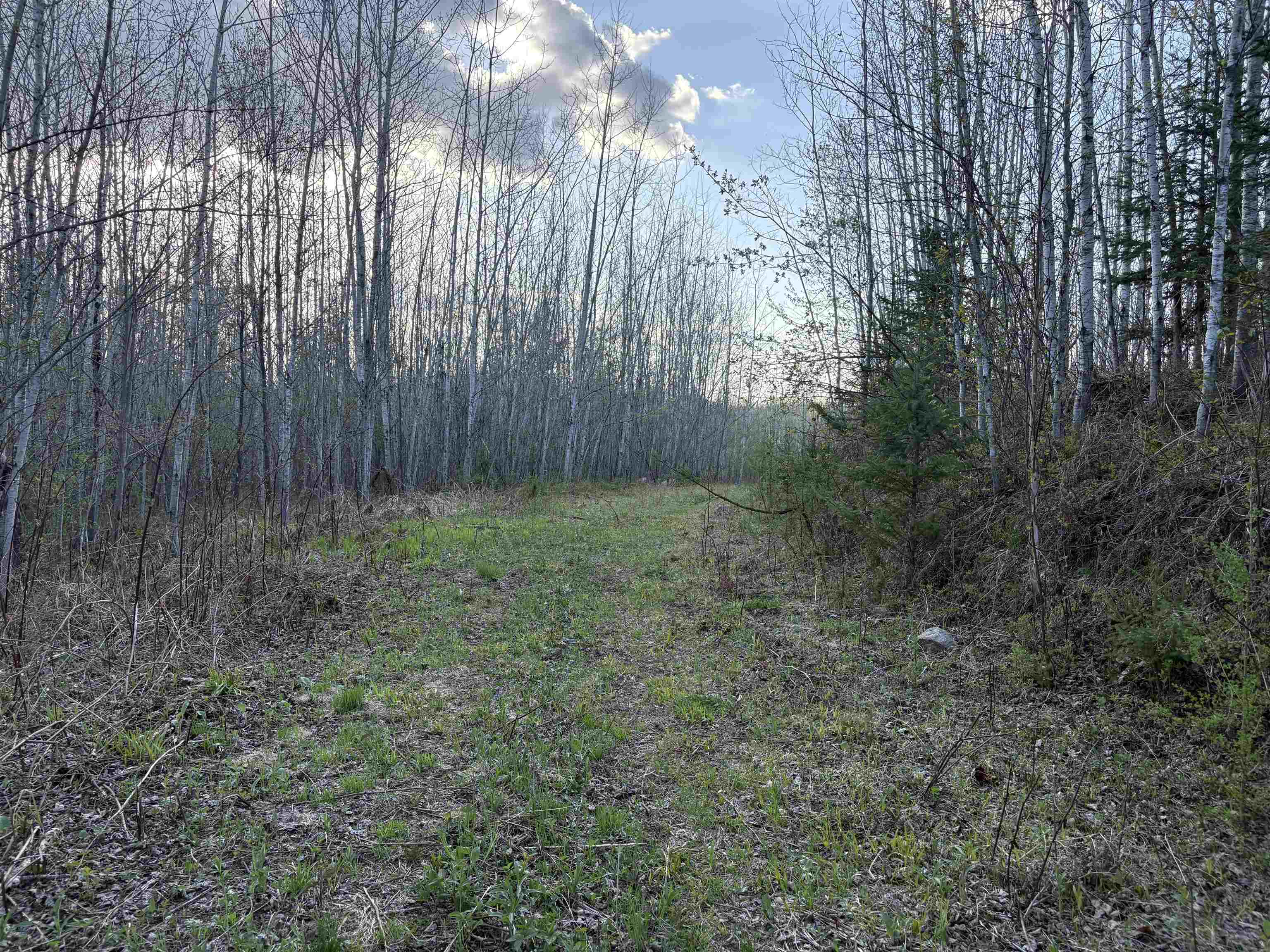 0000 Mertig Rd Glidden WI 54527 6119139 image1