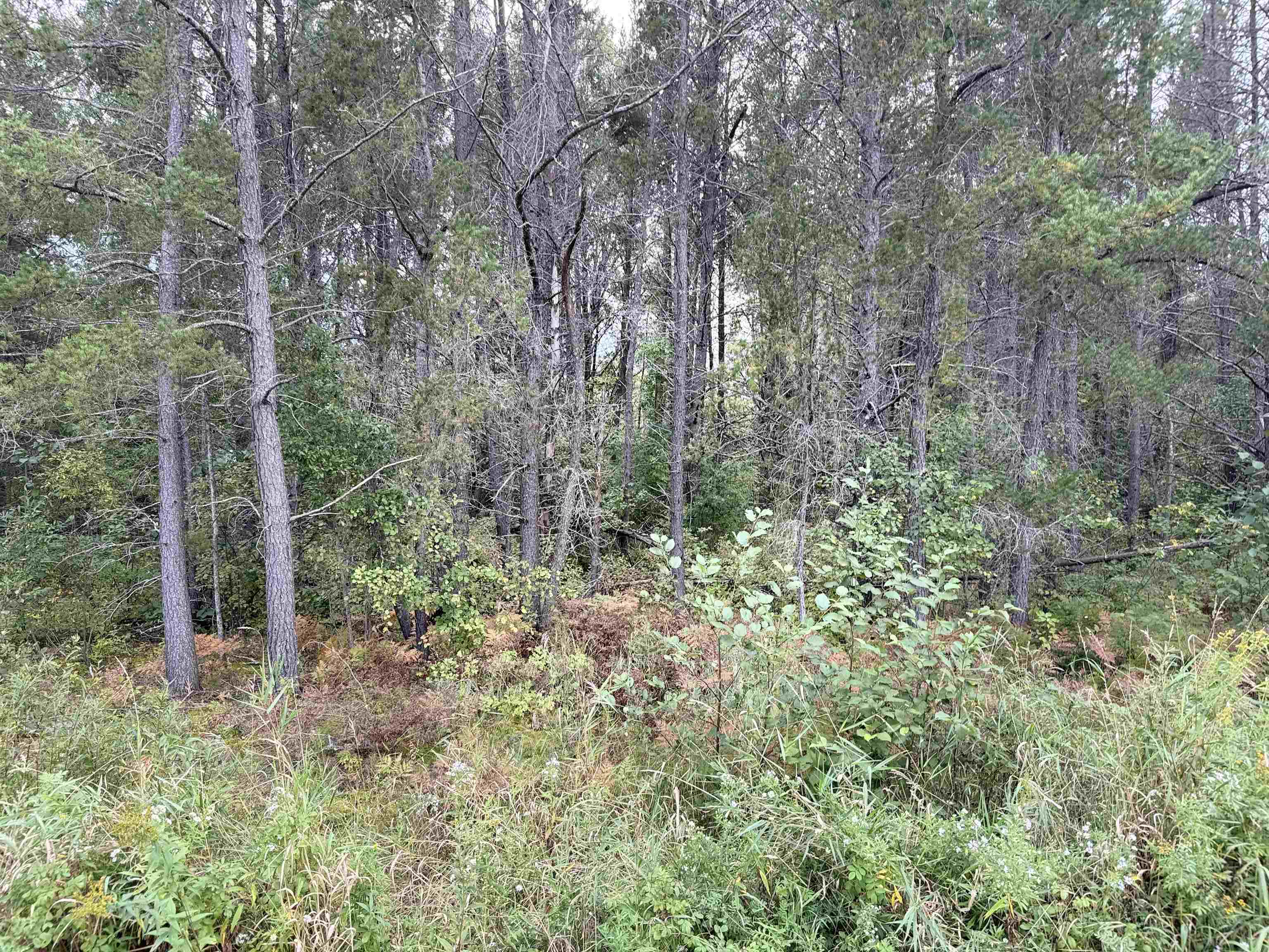 0000 Old Odanah Rd Ashland WI 54806 6122046 image1