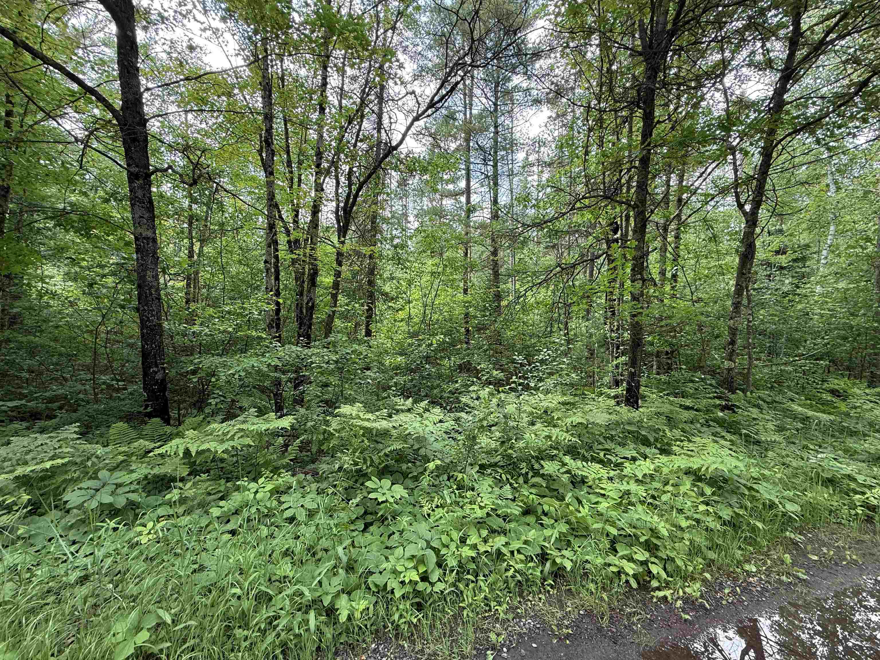 0000 Pokegama Dr Minocqua WI 54548 6120123 image1