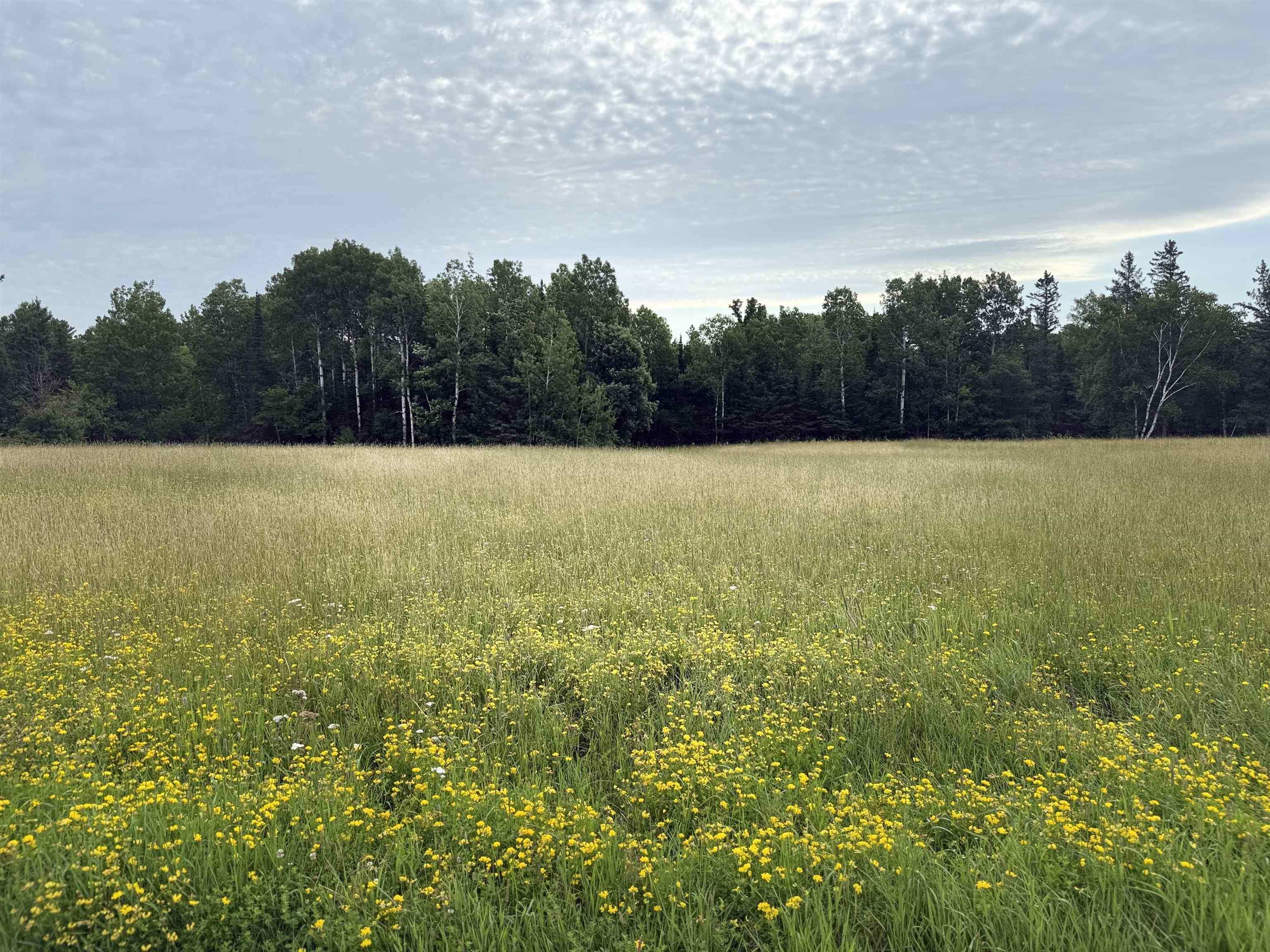 0000 Range Line Rd Iron River WI 54847 6120965 image1