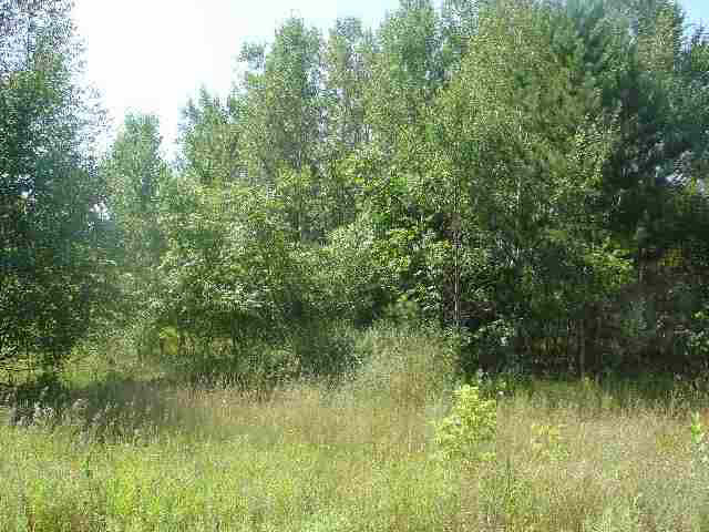 0000 SUMMIT ST Iron River WI 54847 6063475 image2