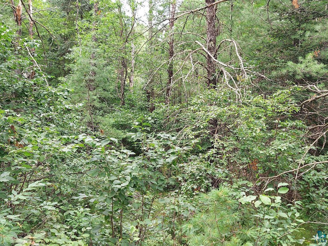 0000 Wannebo Rd Washburn WI 54891 6110717 image1