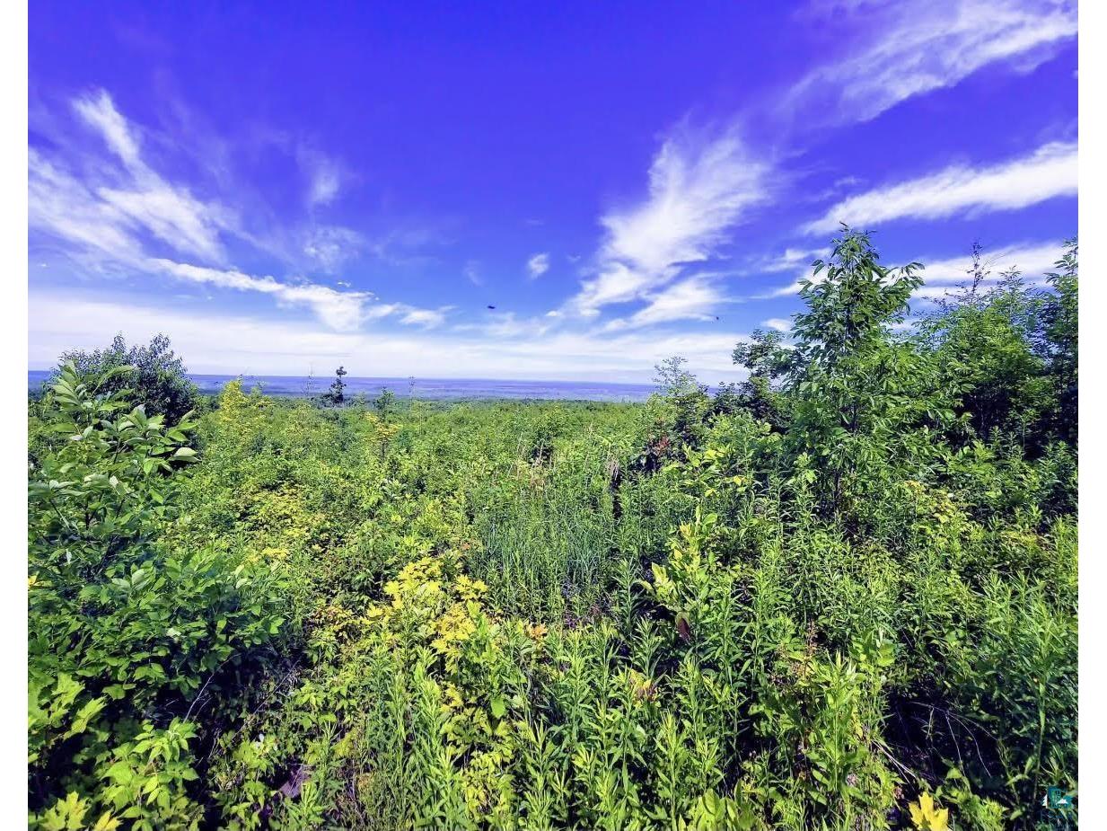 0000 Will Rd Mellen WI 54546 6109951 image1