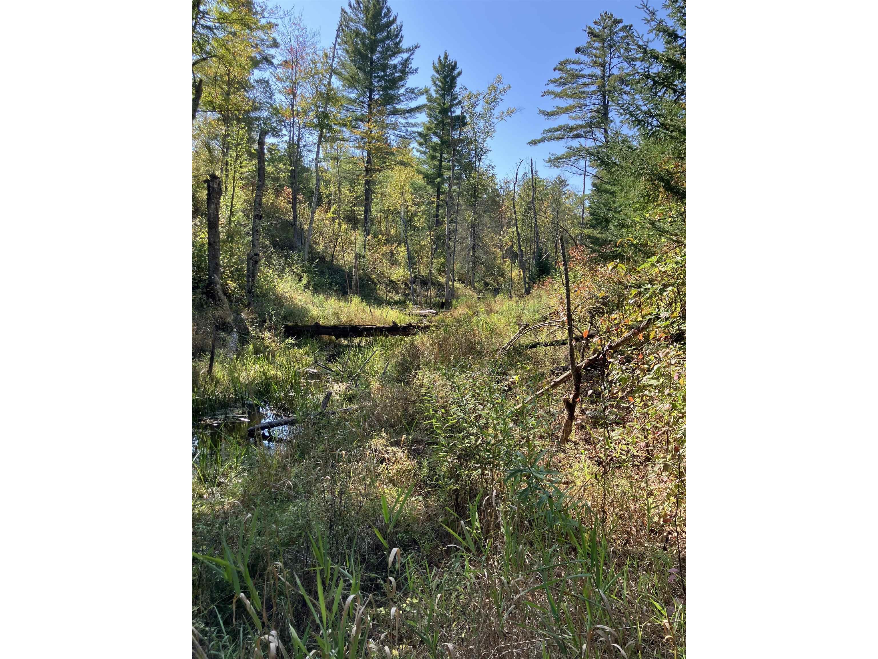 00002 Pine Flats Rd Saxon WI 54546 6122272 image4